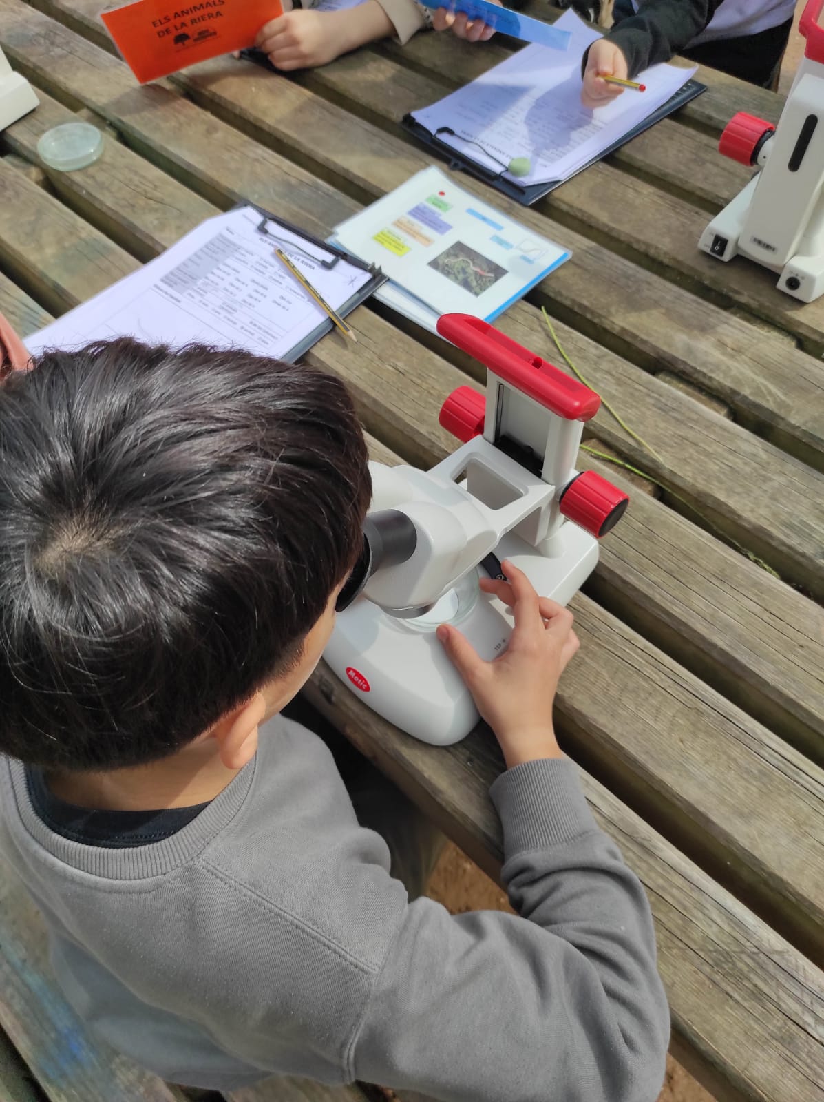 WhatsApp Image 2026-03-10 at 17.47.33