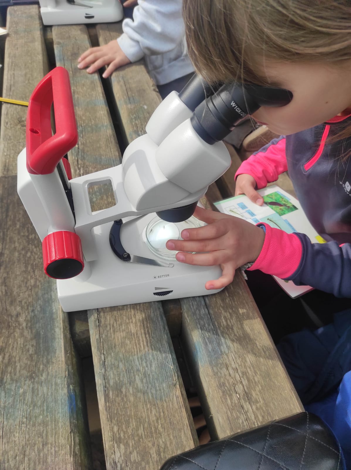 WhatsApp Image 2026-03-10 at 17.48.18