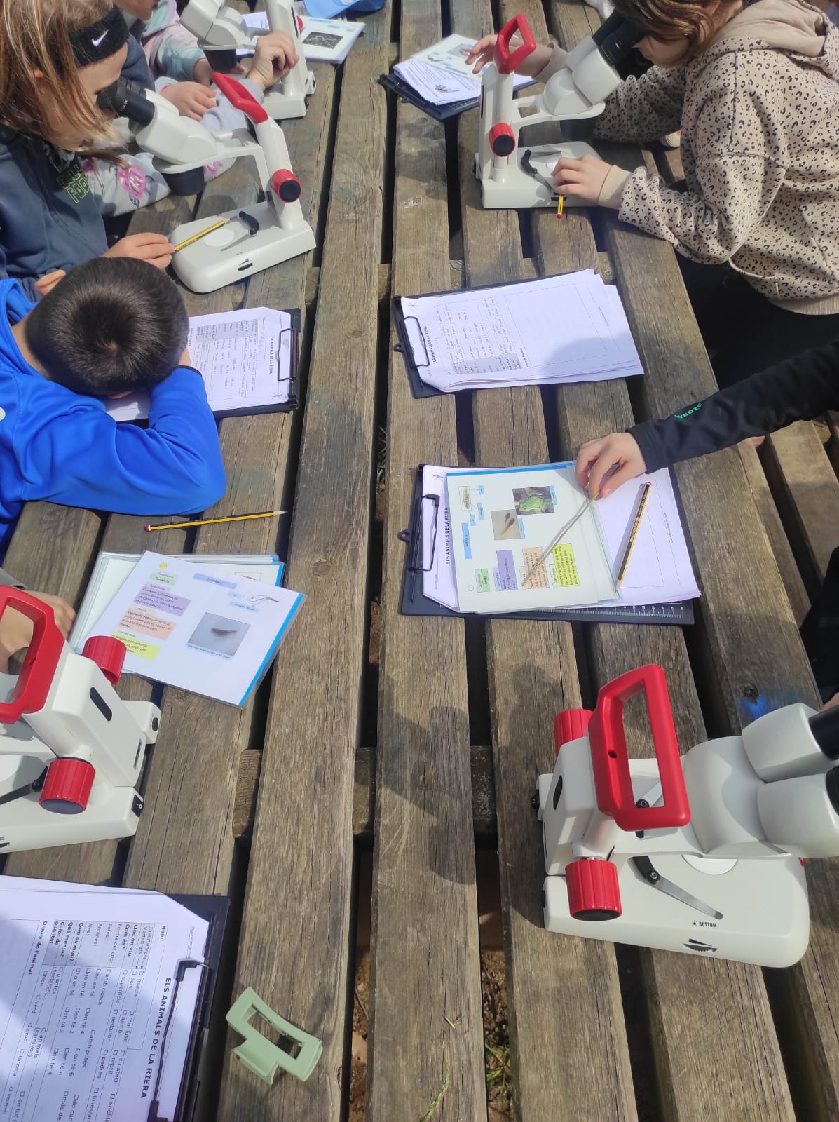 WhatsApp Image 2026-03-10 at 17.48.22