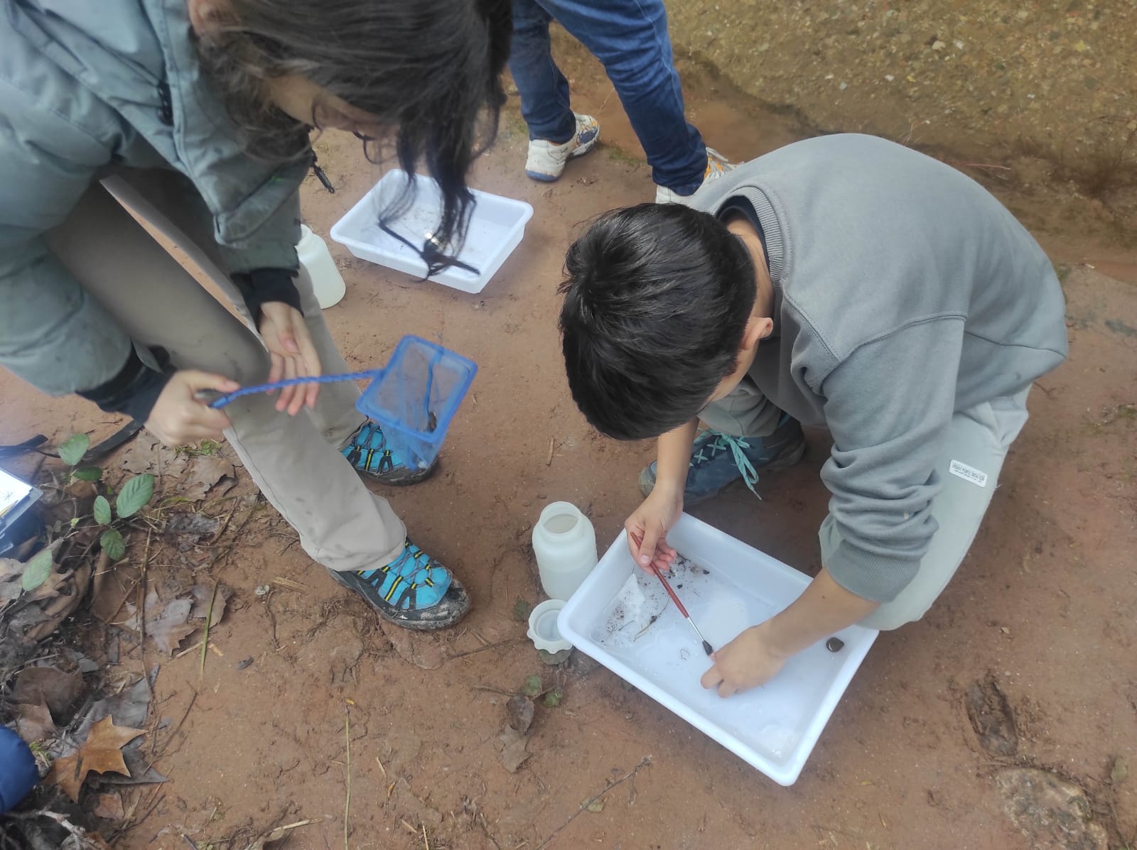 WhatsApp Image 2026-03-10 at 17.48.24