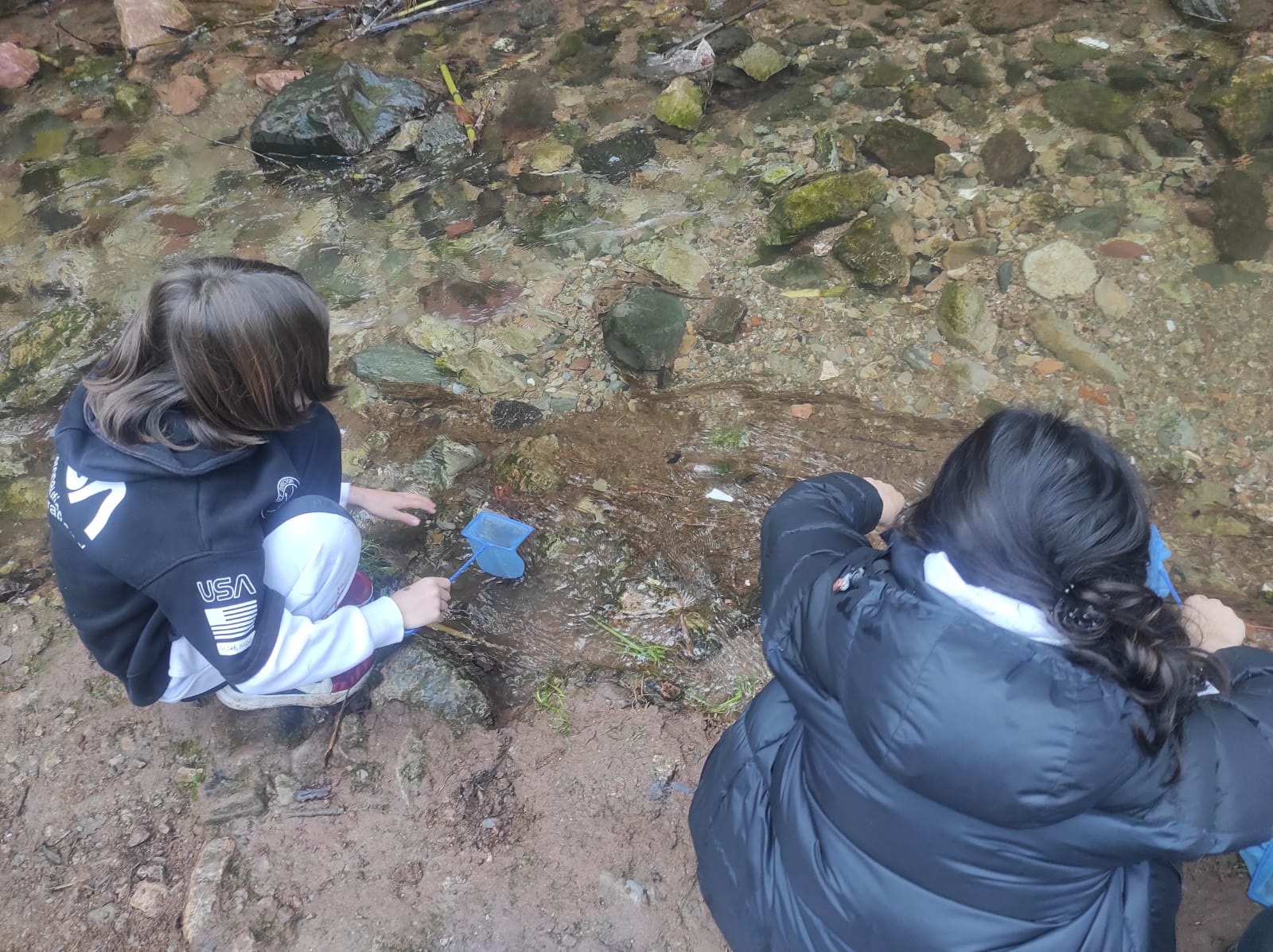 WhatsApp Image 2026-03-10 at 17.48.25