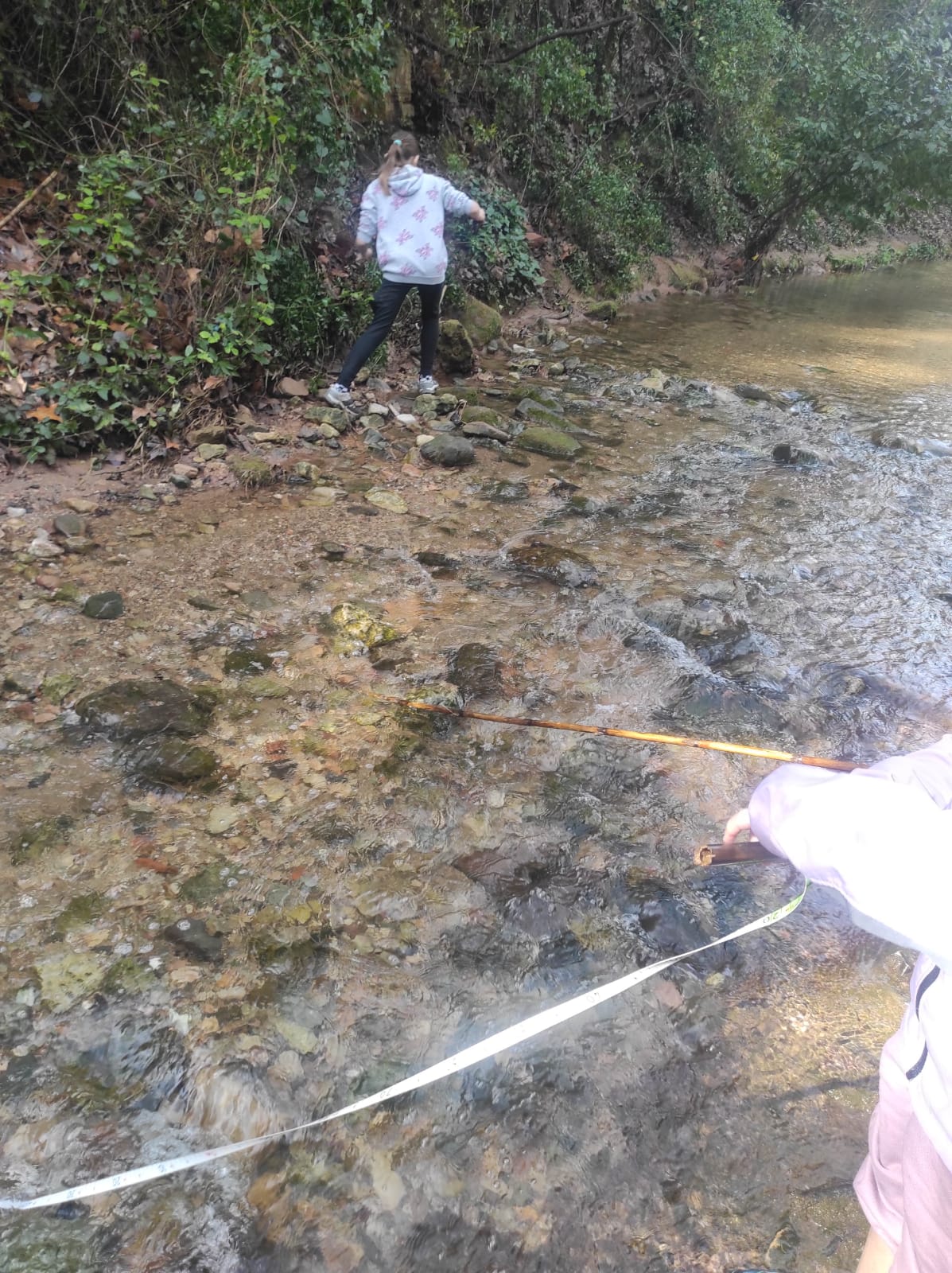 WhatsApp Image 2026-03-10 at 17.48.27