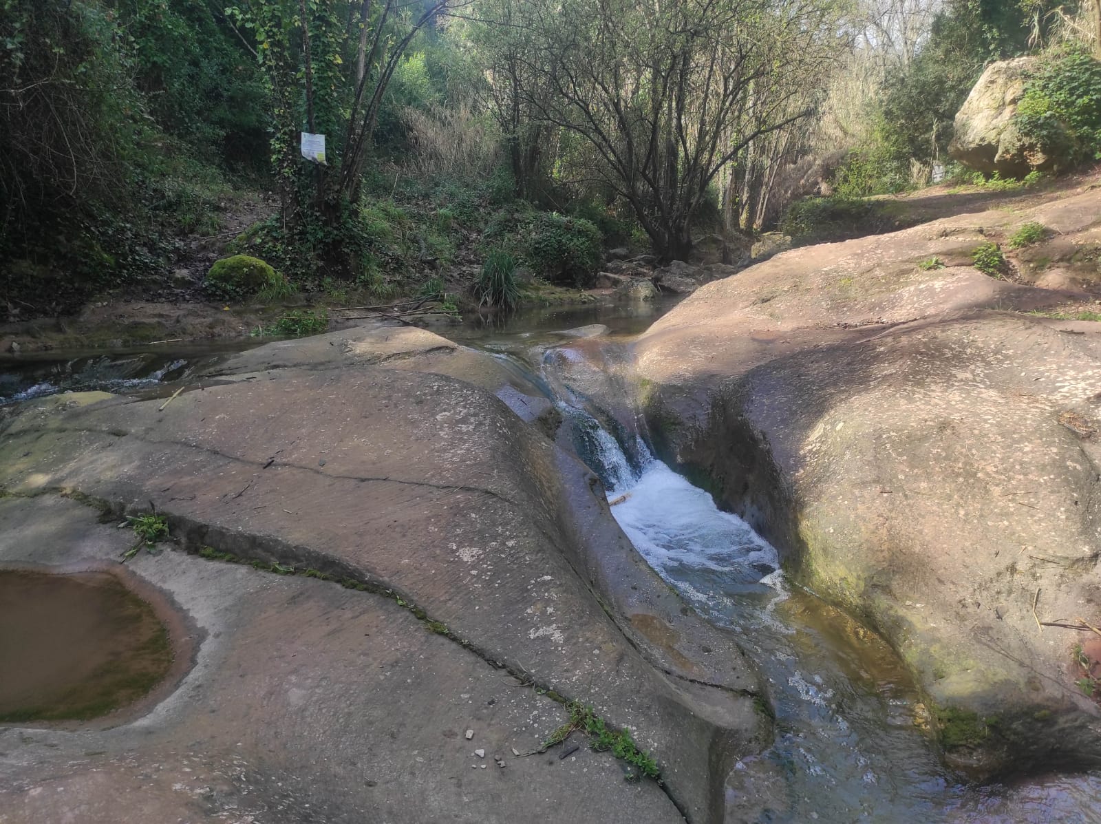 WhatsApp Image 2026-03-10 at 17.48.28