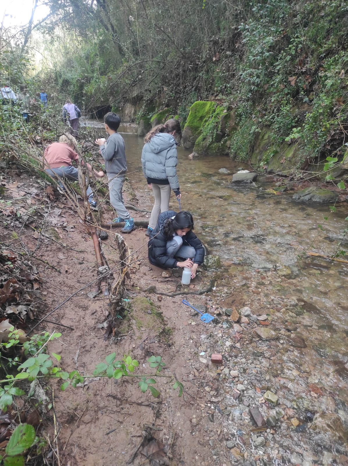 WhatsApp Image 2026-03-10 at 17.48.59