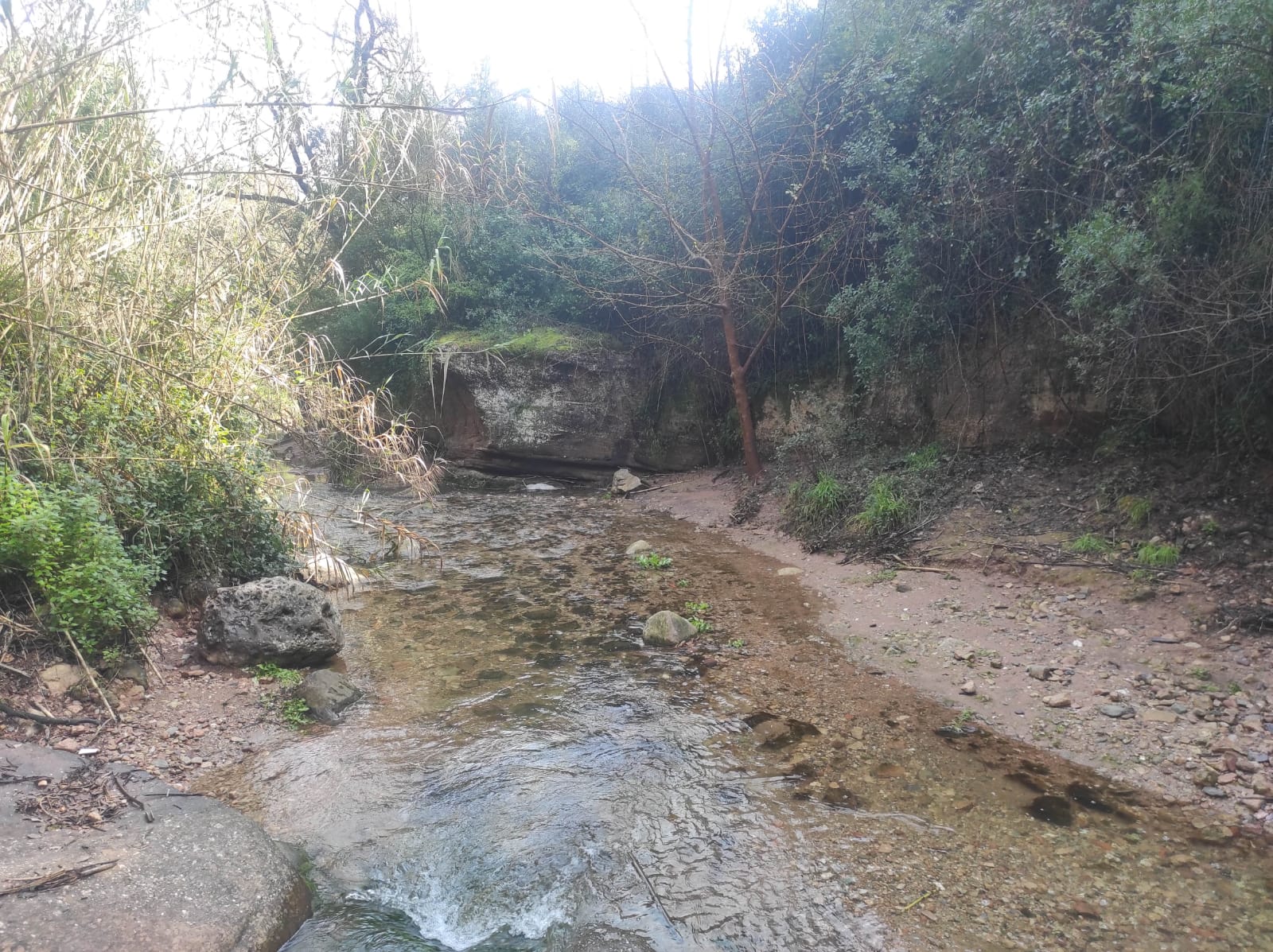 WhatsApp Image 2026-03-10 at 17.49.03 (1)