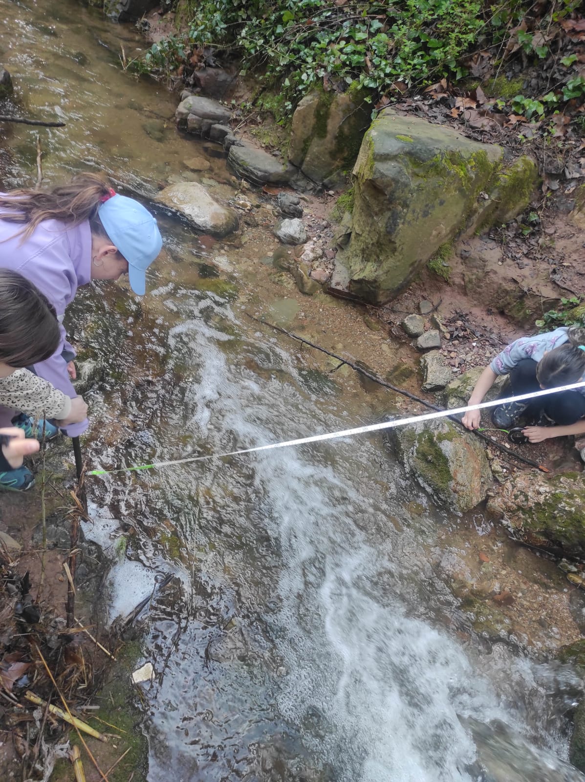 WhatsApp Image 2026-03-10 at 17.49.03