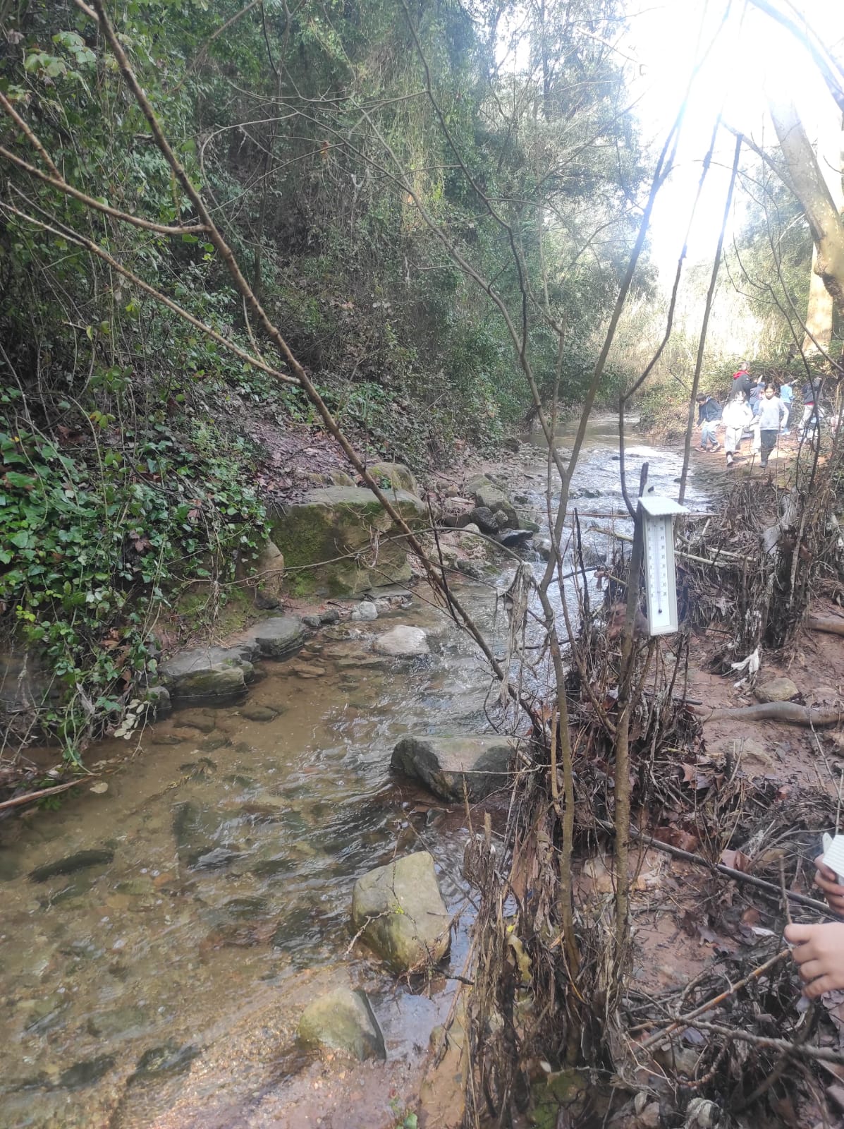 WhatsApp Image 2026-03-10 at 17.49.05