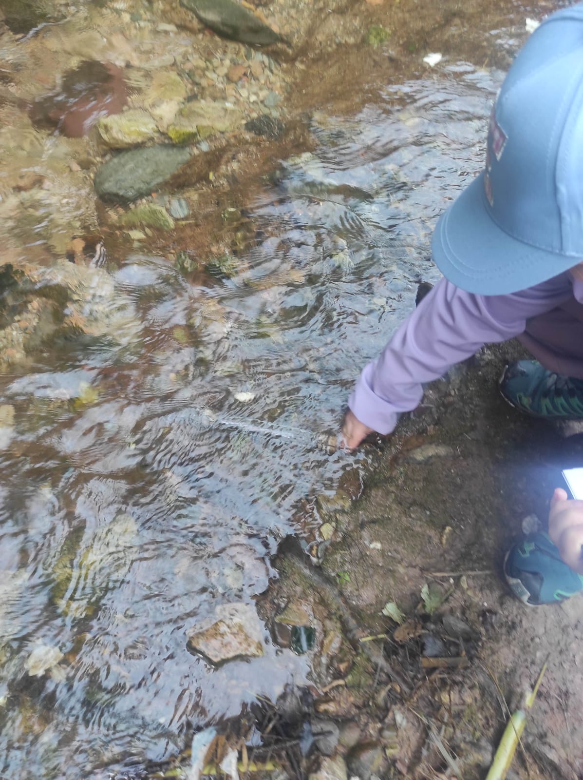 WhatsApp Image 2026-03-10 at 17.49.06