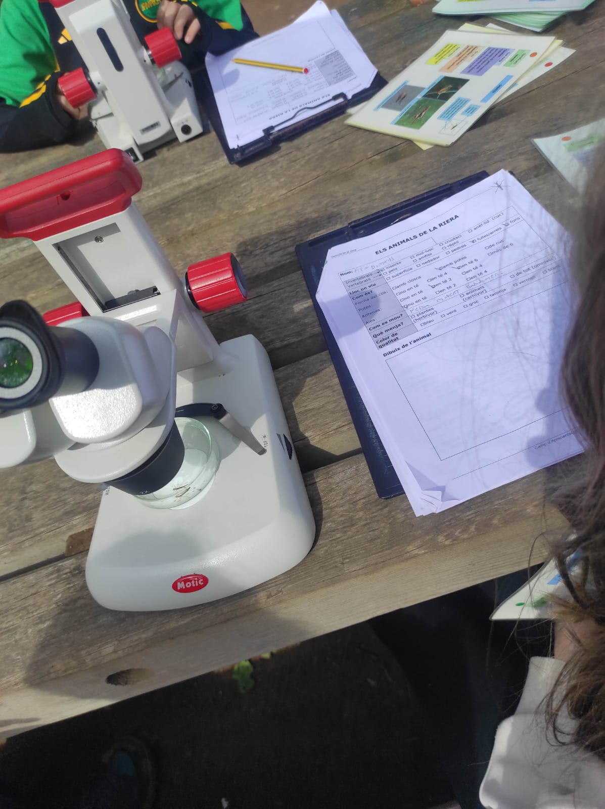 WhatsApp Image 2026-03-11 at 17.28.26