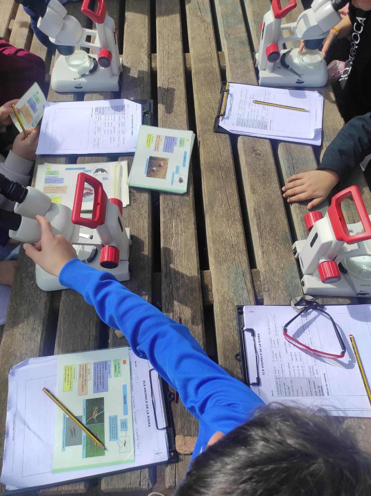 WhatsApp Image 2026-03-11 at 17.28.28