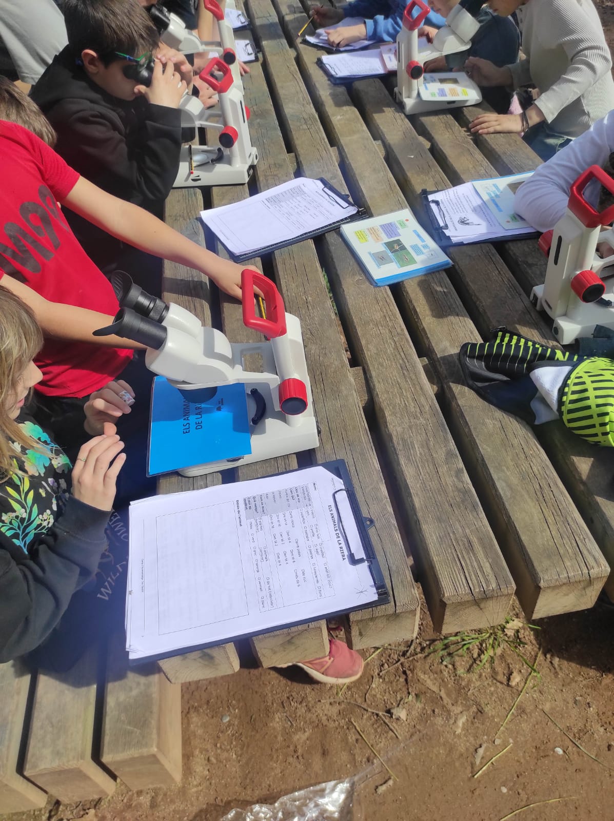 WhatsApp Image 2026-03-11 at 17.28.30