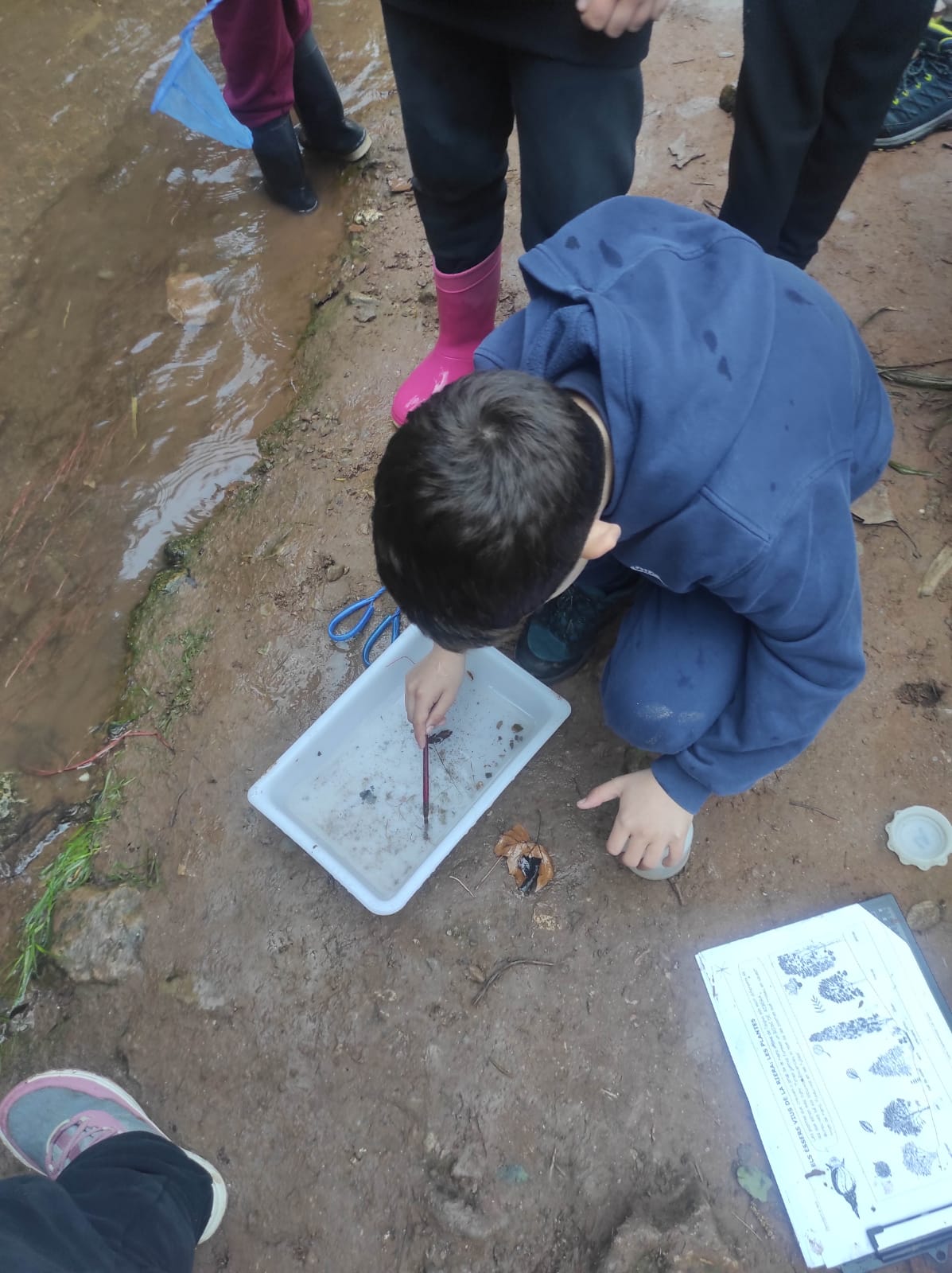 WhatsApp Image 2026-03-11 at 17.28.33 (1)