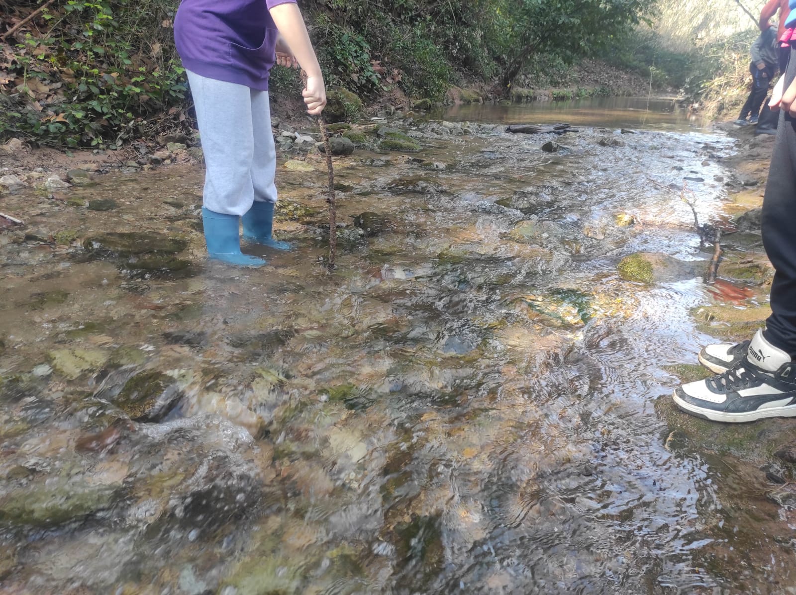 WhatsApp Image 2026-03-11 at 17.28.34