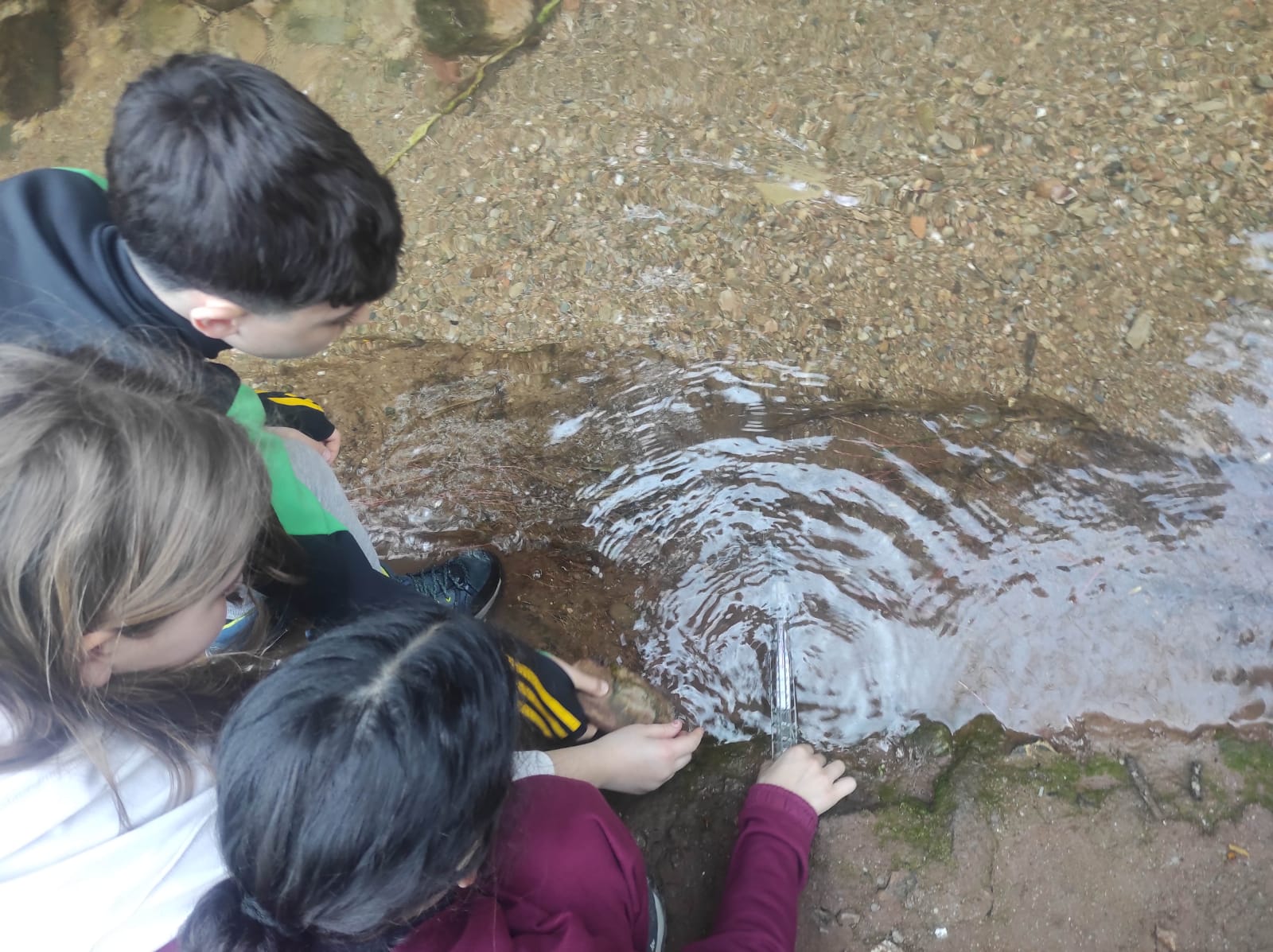 WhatsApp Image 2026-03-11 at 17.28.35 (1)