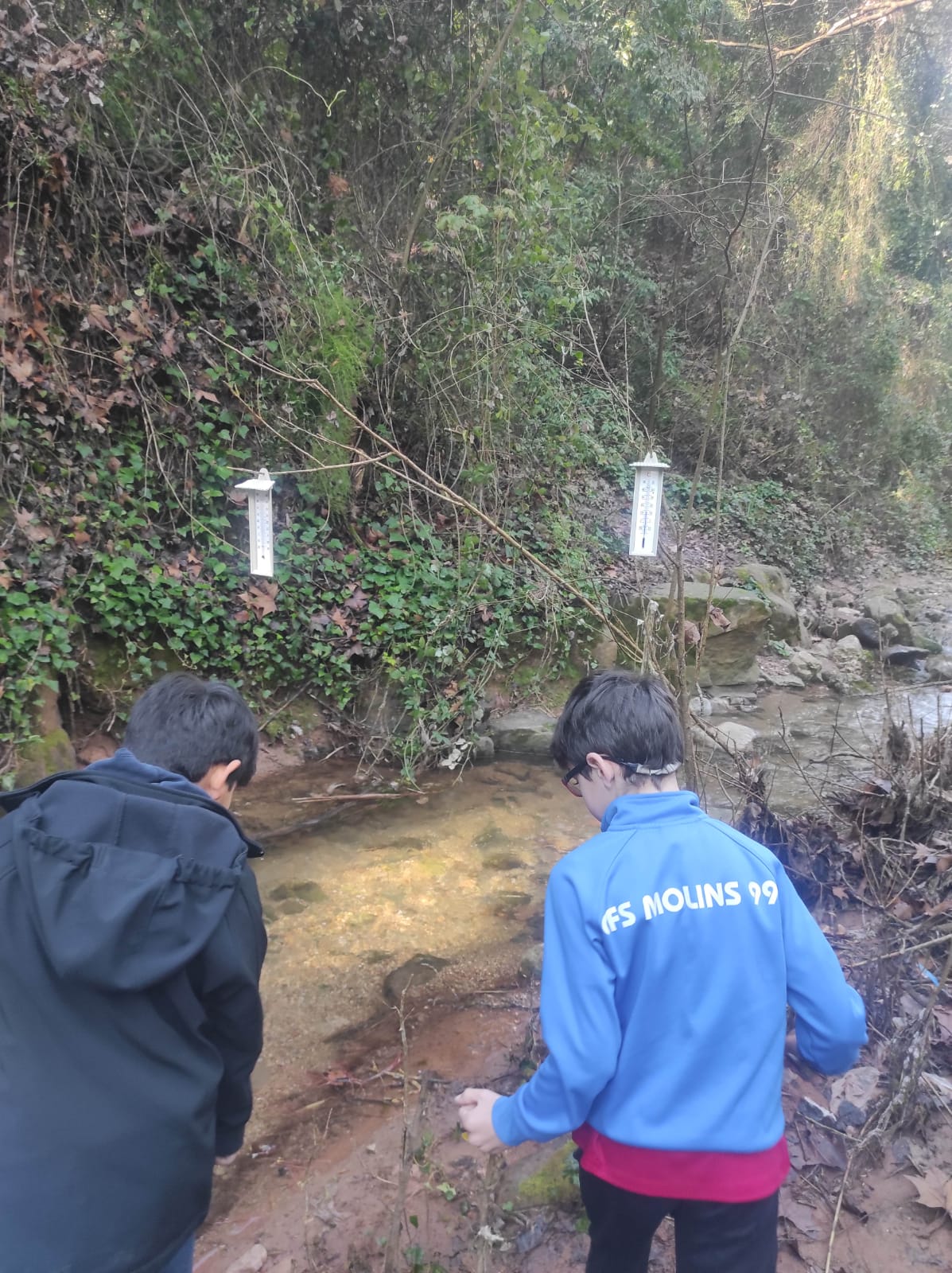 WhatsApp Image 2026-03-11 at 17.28.35