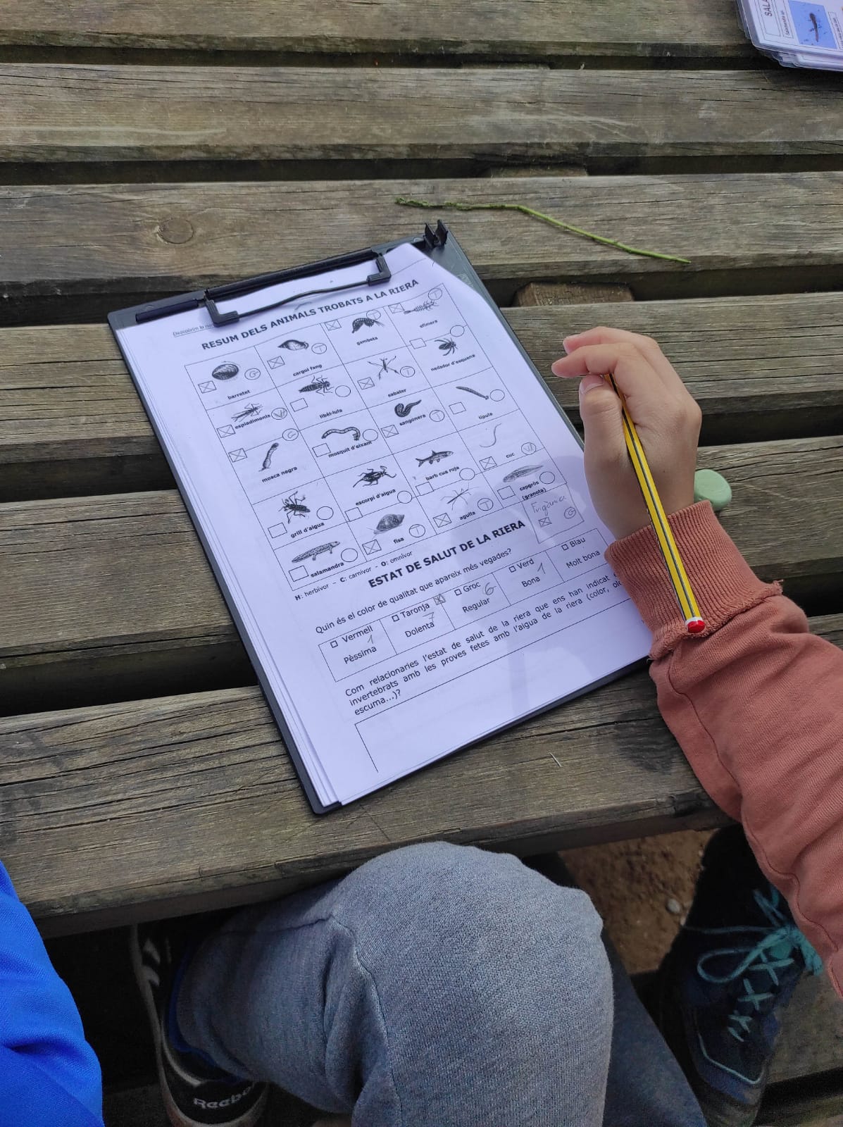 WhatsApp Image 2026-03-11 at 17.28.36