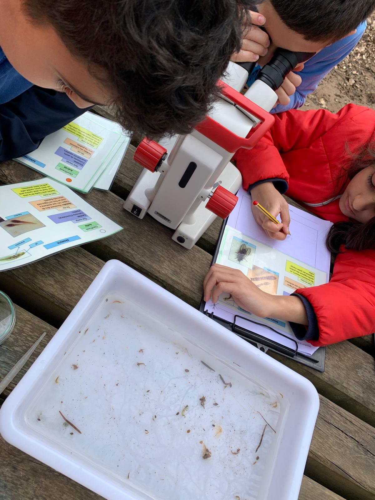 WhatsApp Image 2026-03-11 at 17.46.08