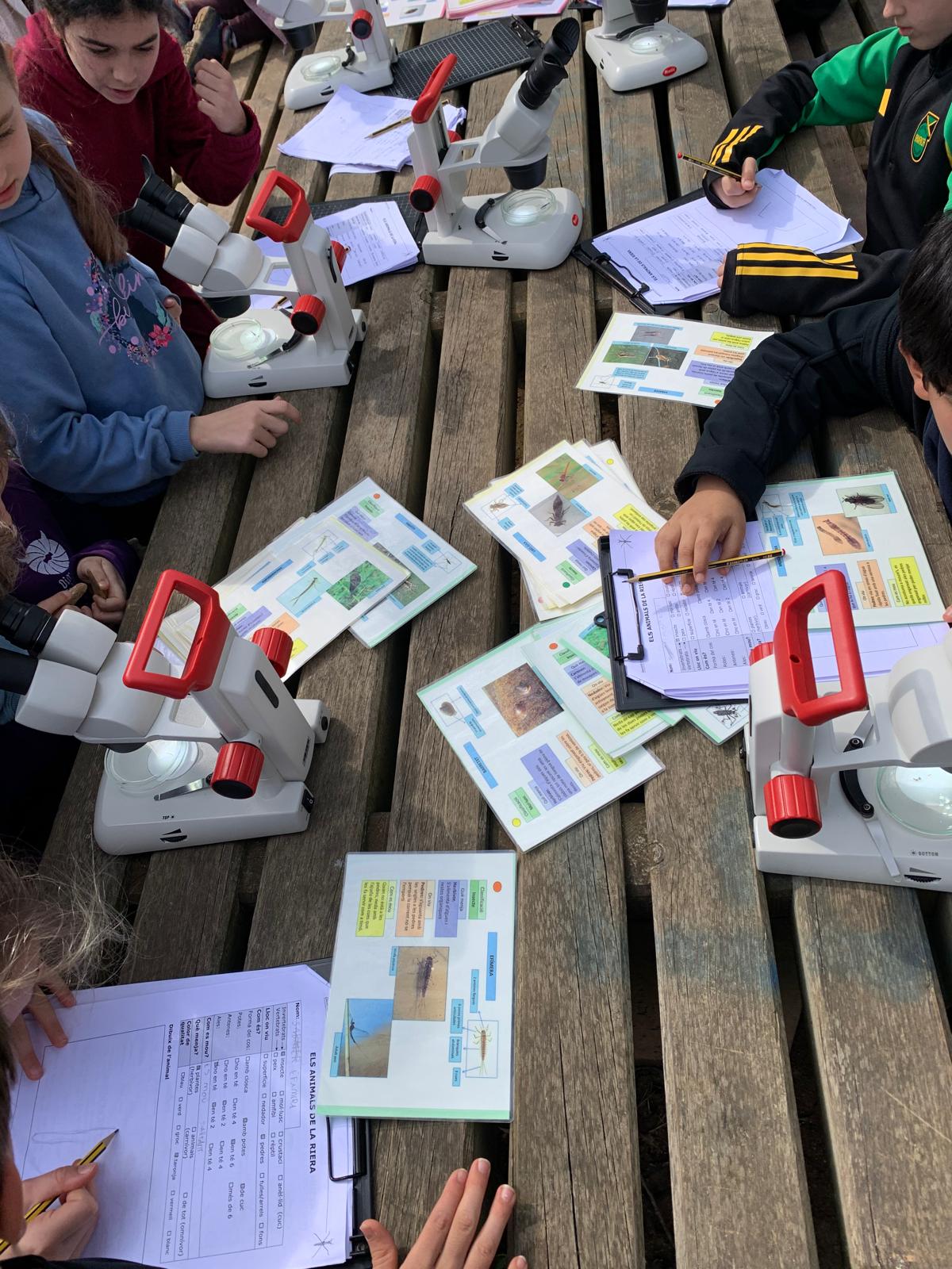 WhatsApp Image 2026-03-11 at 17.46.10 (3)