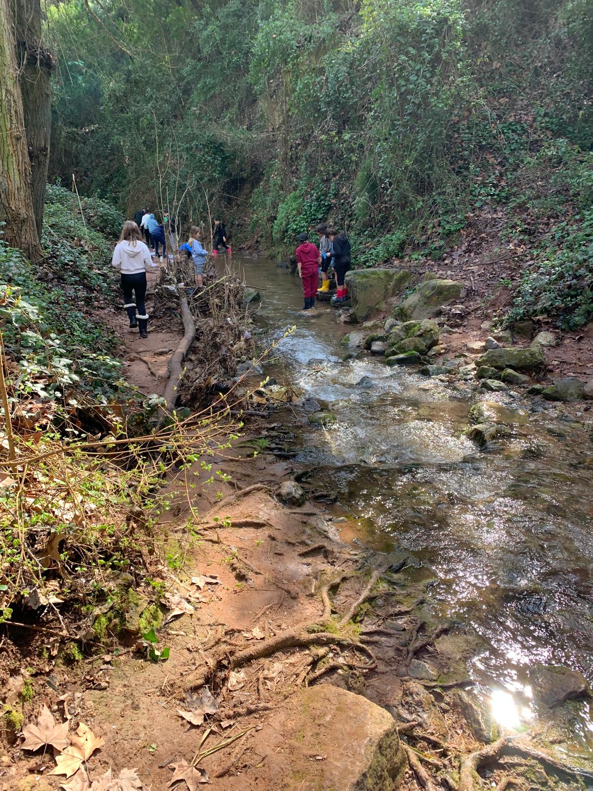 WhatsApp Image 2026-03-11 at 17.46.10