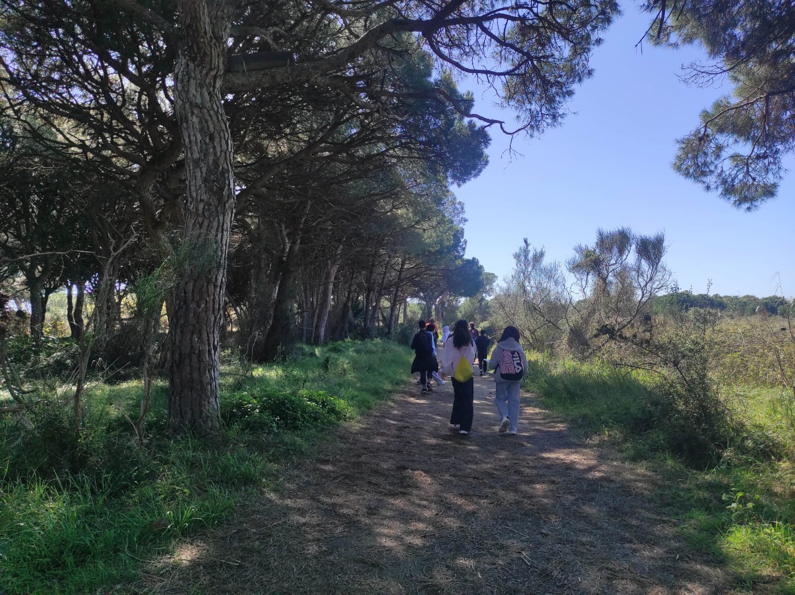 WhatsApp Image 2026-03-18 at 08.48.17 (1)