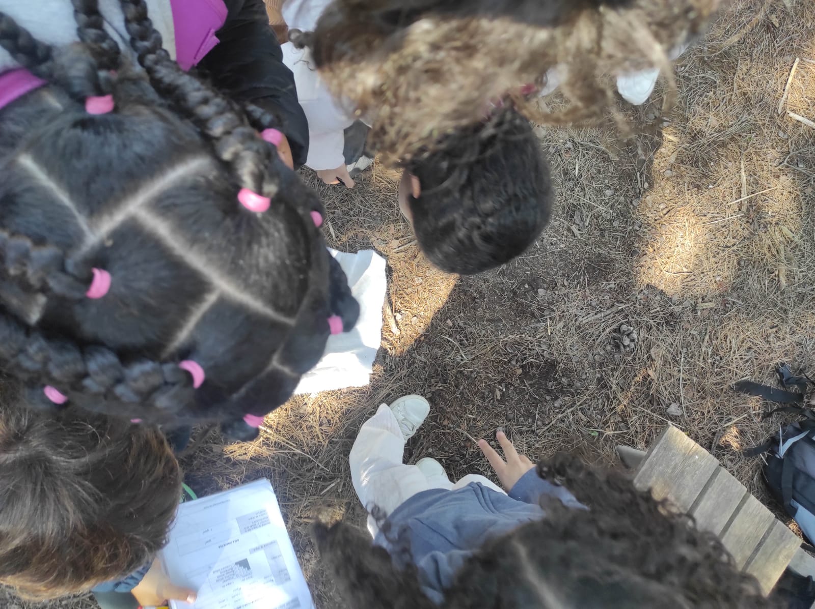 WhatsApp Image 2026-03-18 at 08.48.18 (1)