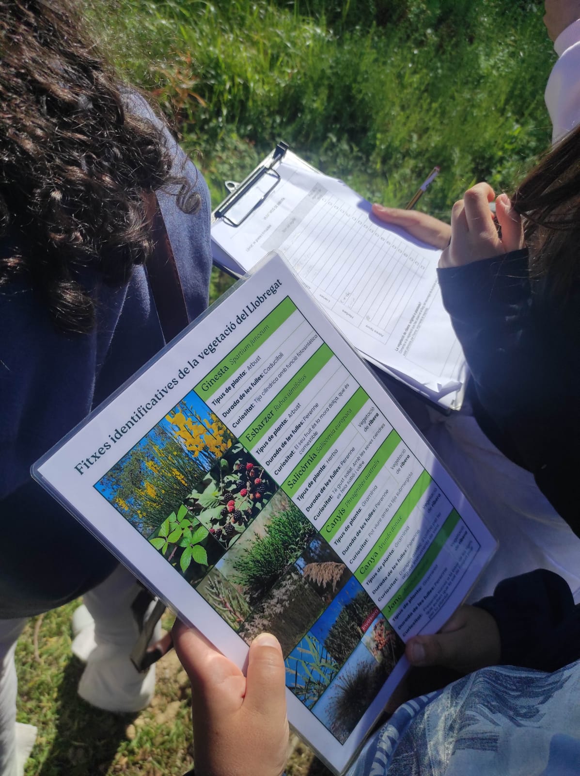 WhatsApp Image 2026-03-18 at 08.48.24