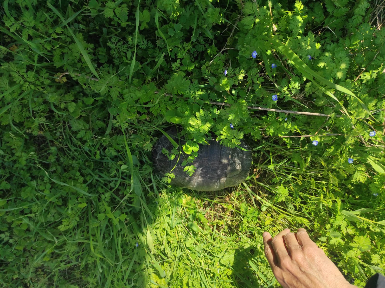 WhatsApp Image 2026-03-18 at 08.48.25 (1)