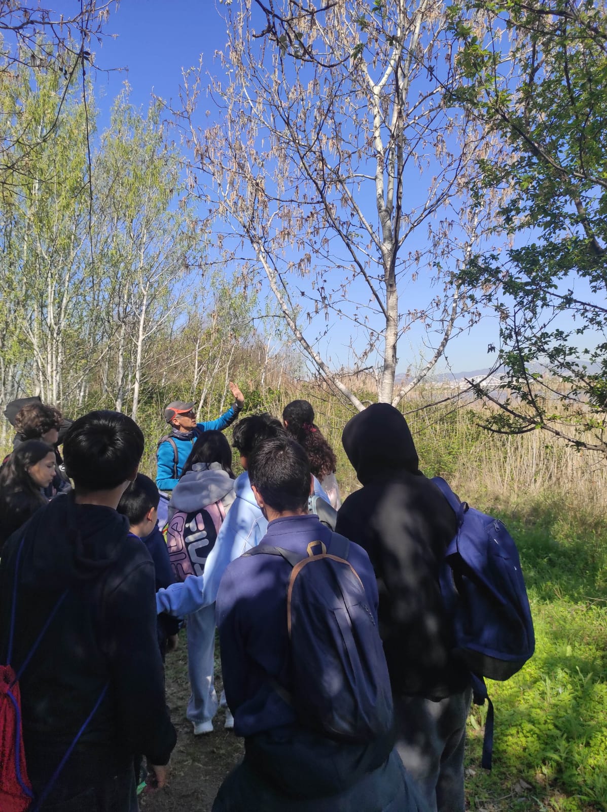 WhatsApp Image 2026-03-18 at 08.48.25 (2)