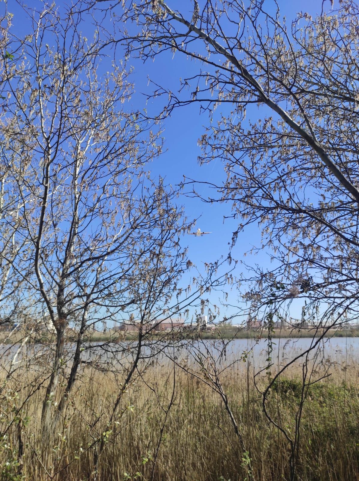 WhatsApp Image 2026-03-18 at 08.48.25 (3)