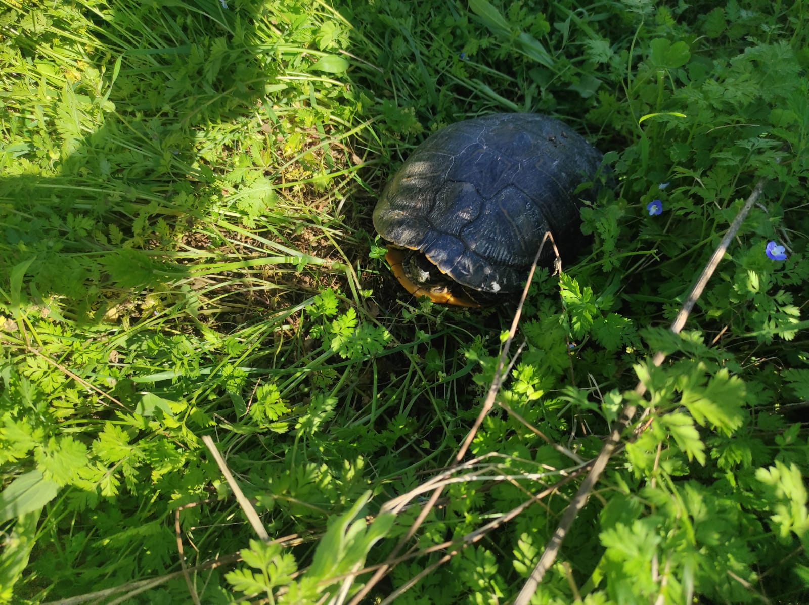 WhatsApp Image 2026-03-18 at 08.48.25