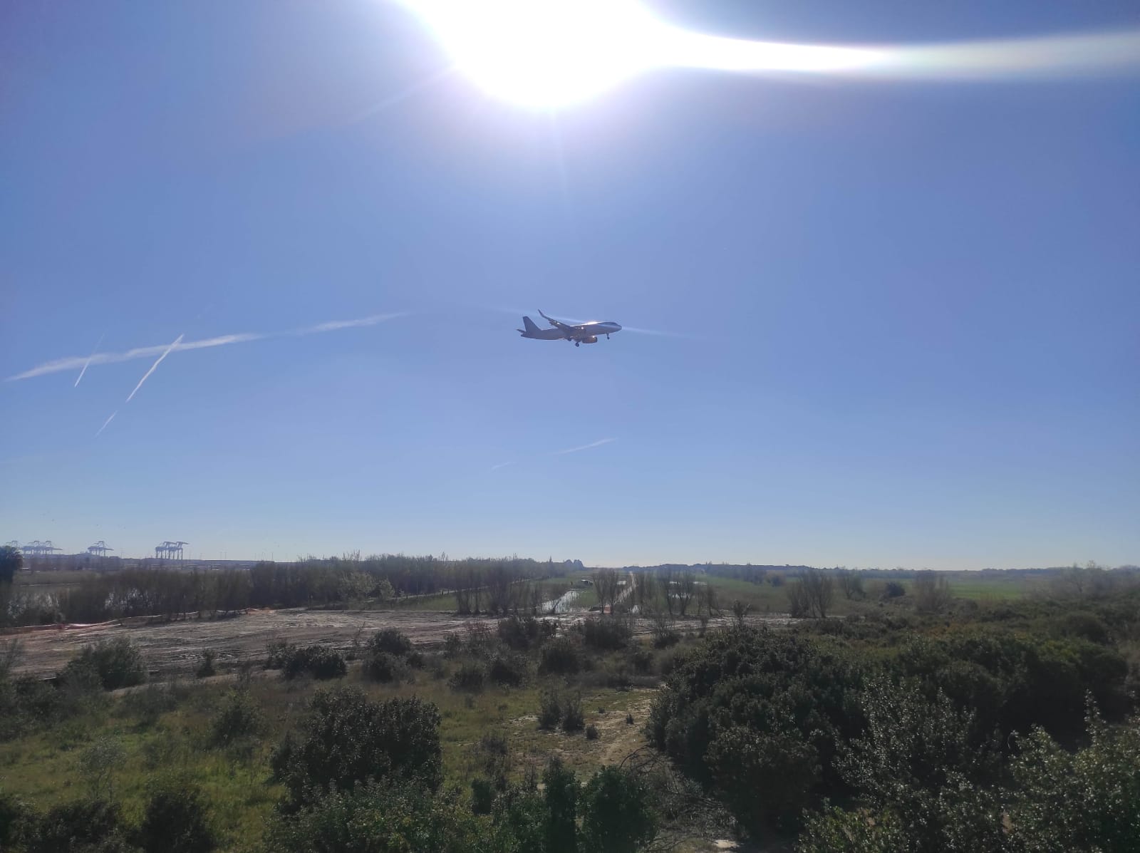 WhatsApp Image 2026-03-18 at 08.48.26 (3)