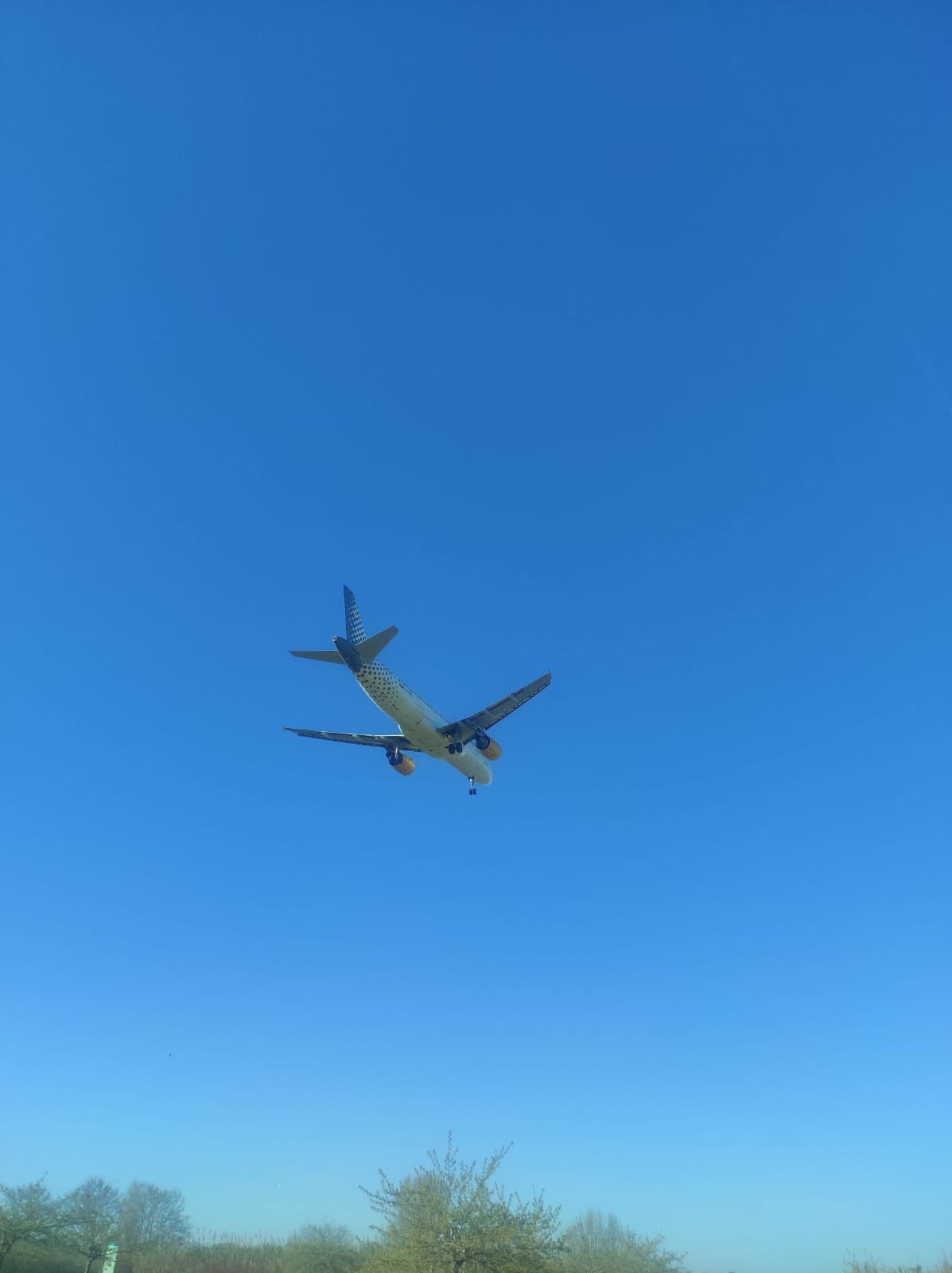 WhatsApp Image 2026-03-18 at 08.48.27 (3)