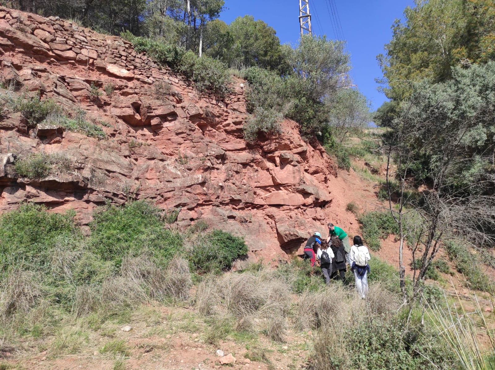 WhatsApp Image 2026-03-20 at 09.49.04