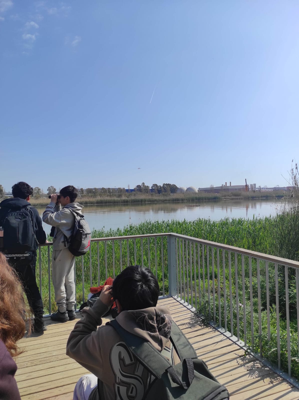 WhatsApp Image 2026-03-24 at 14.36.15 (3)