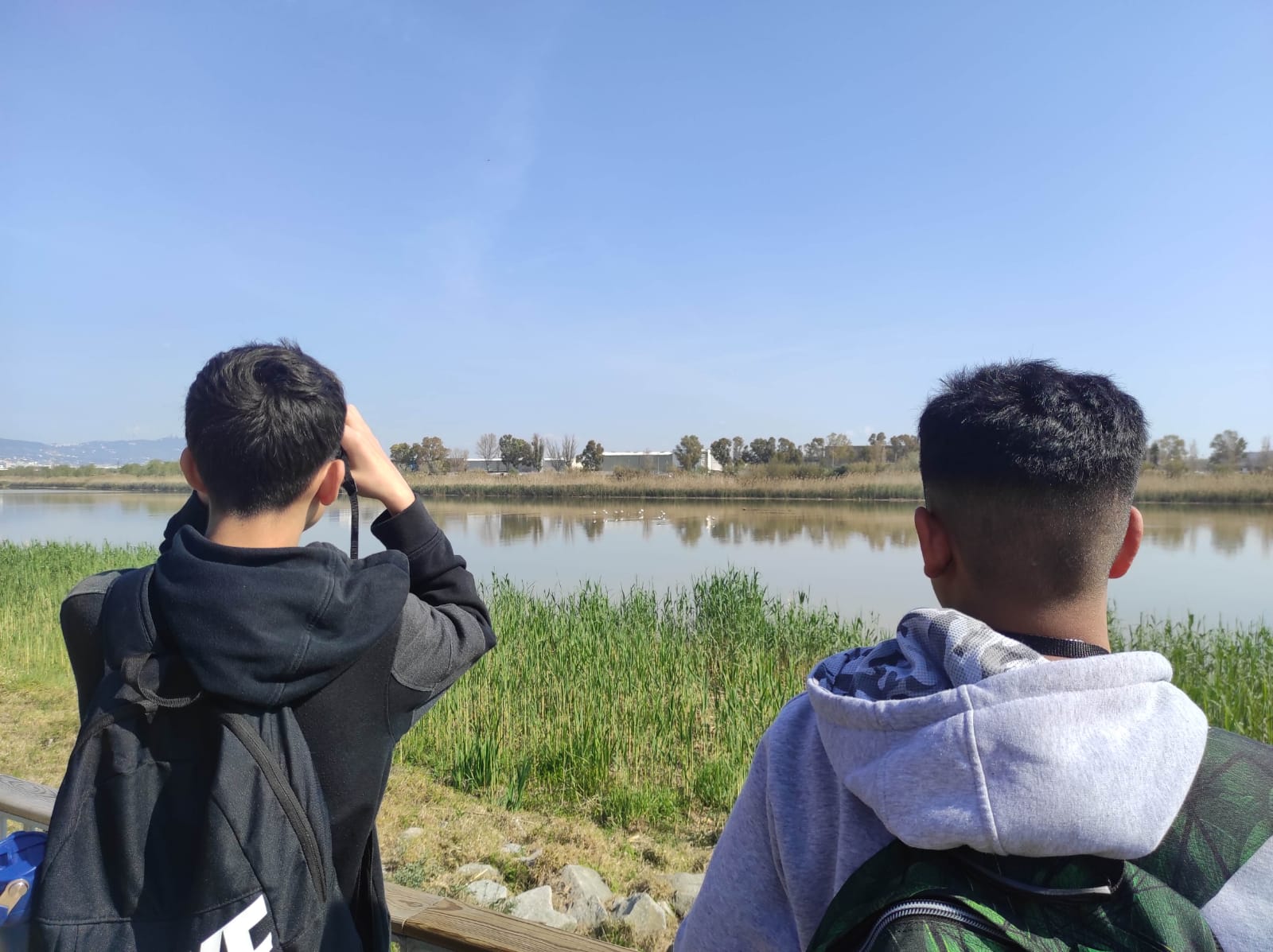 WhatsApp Image 2026-03-24 at 14.36.15 (4)