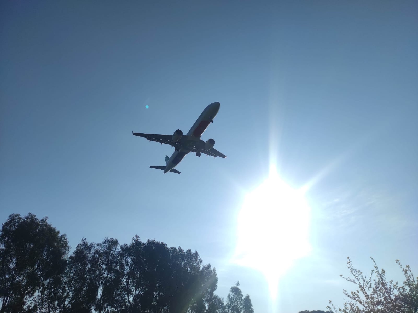 WhatsApp Image 2026-03-24 at 14.36.15 (5)