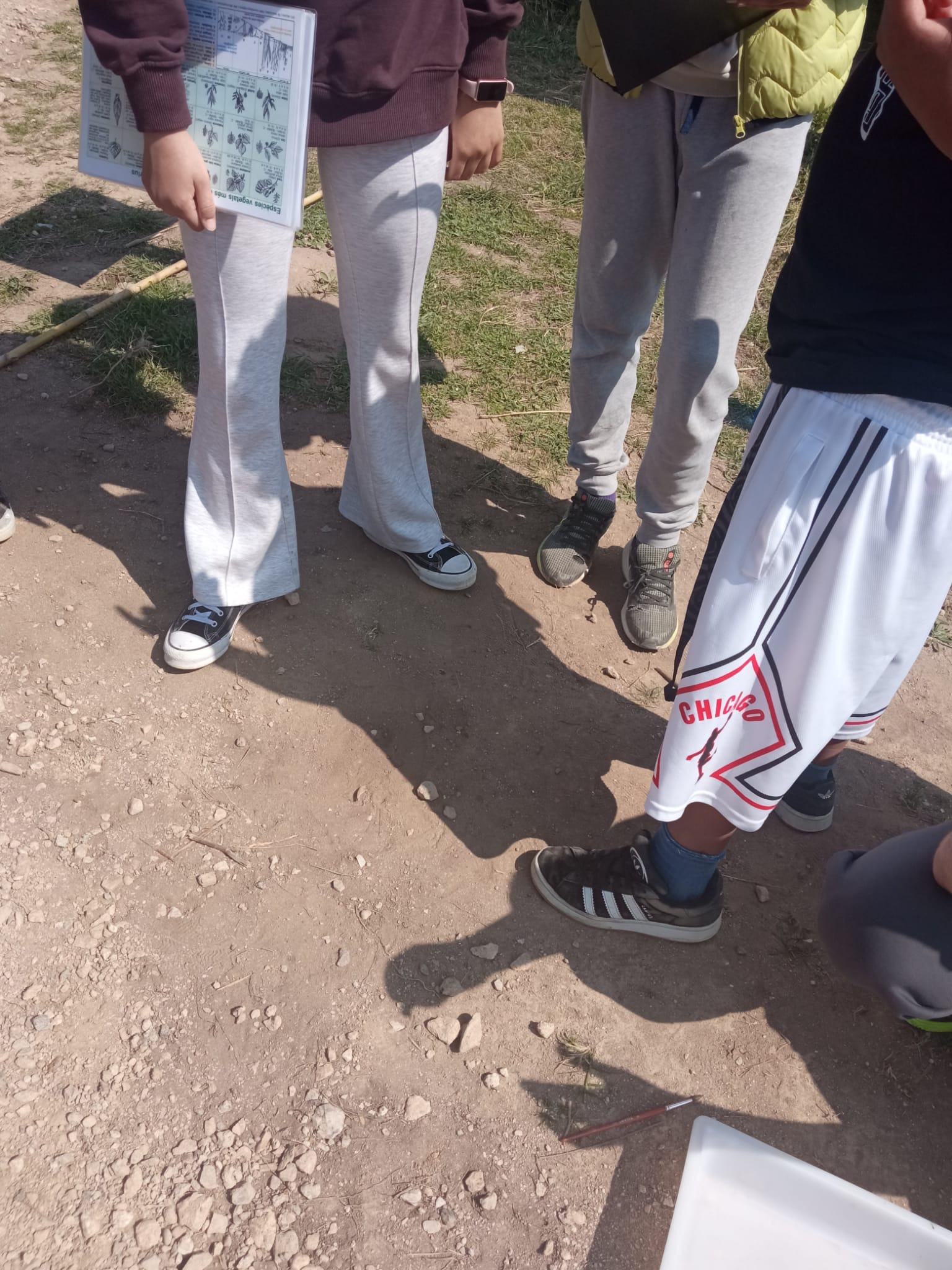 WhatsApp Image 2026-03-25 at 09.49.34