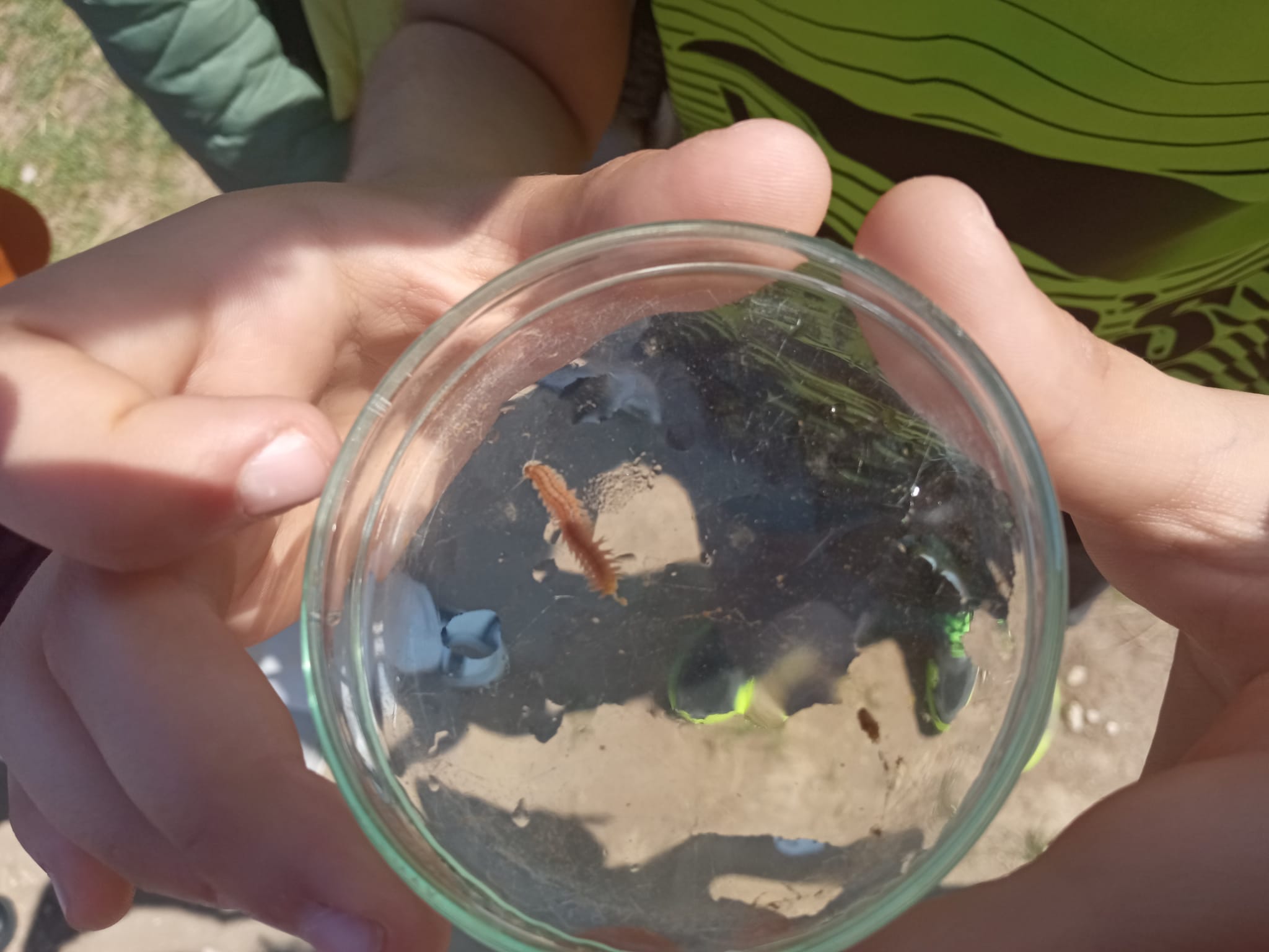 WhatsApp Image 2026-03-25 at 09.49.35