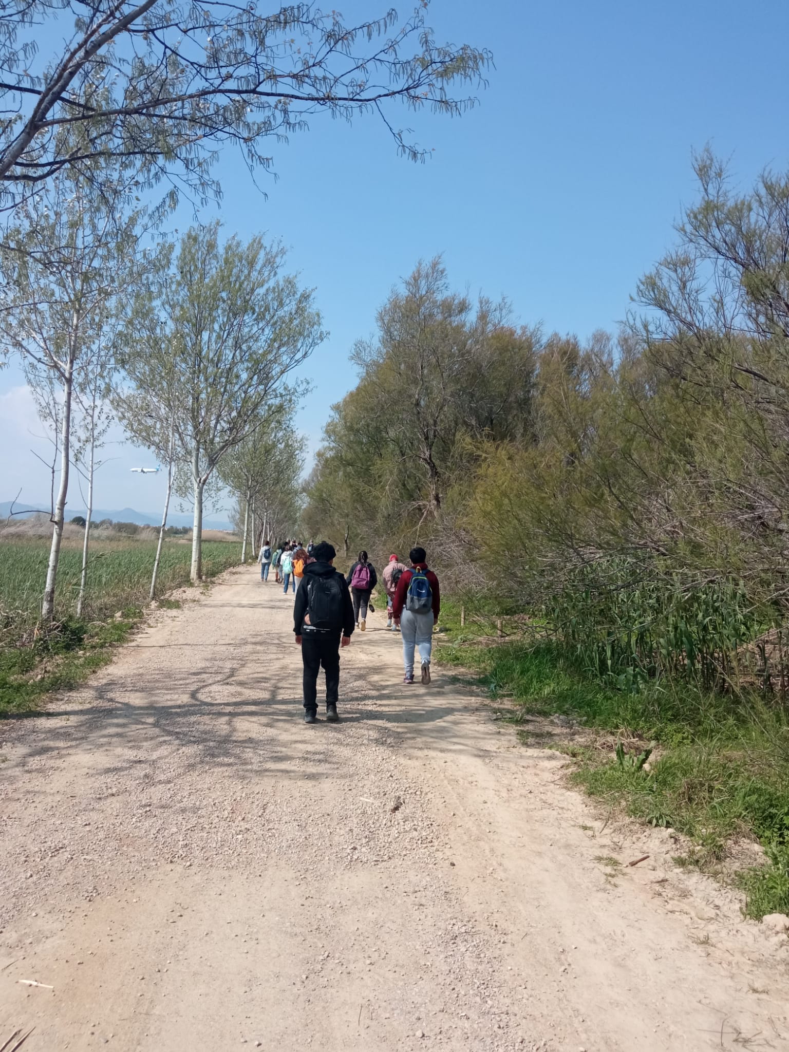 WhatsApp Image 2026-03-25 at 09.49.36