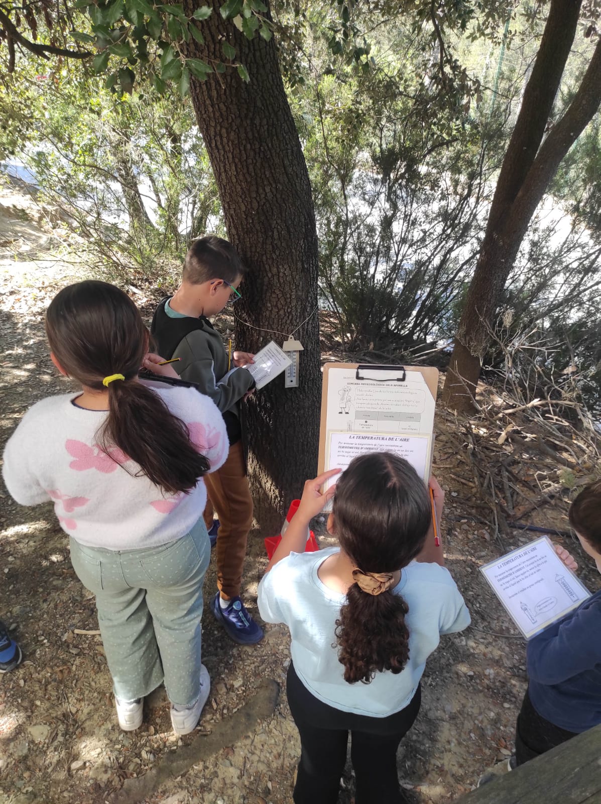 WhatsApp Image 2026-04-07 at 13.42.43 (3)