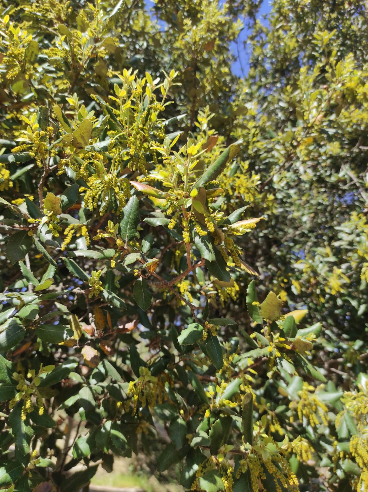 WhatsApp Image 2026-04-08 at 15.00.09 (1)