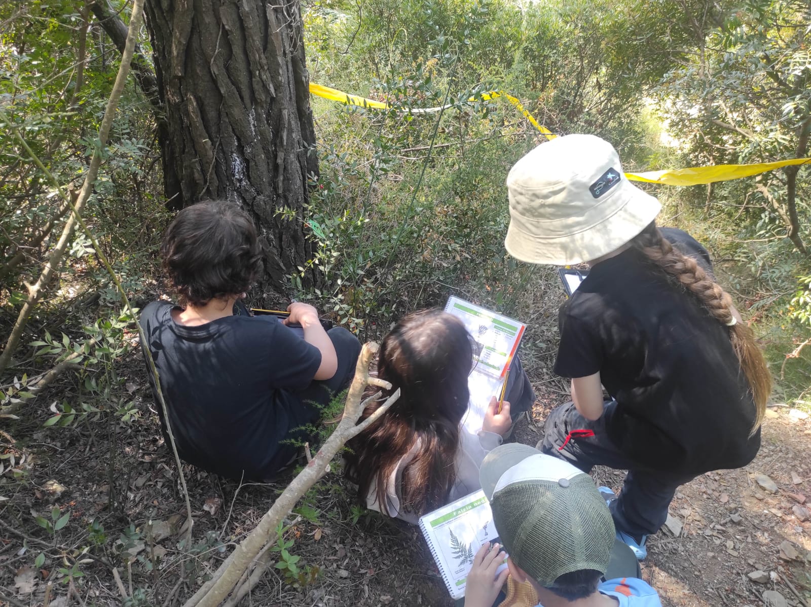 WhatsApp Image 2026-04-08 at 15.00.09 (2)