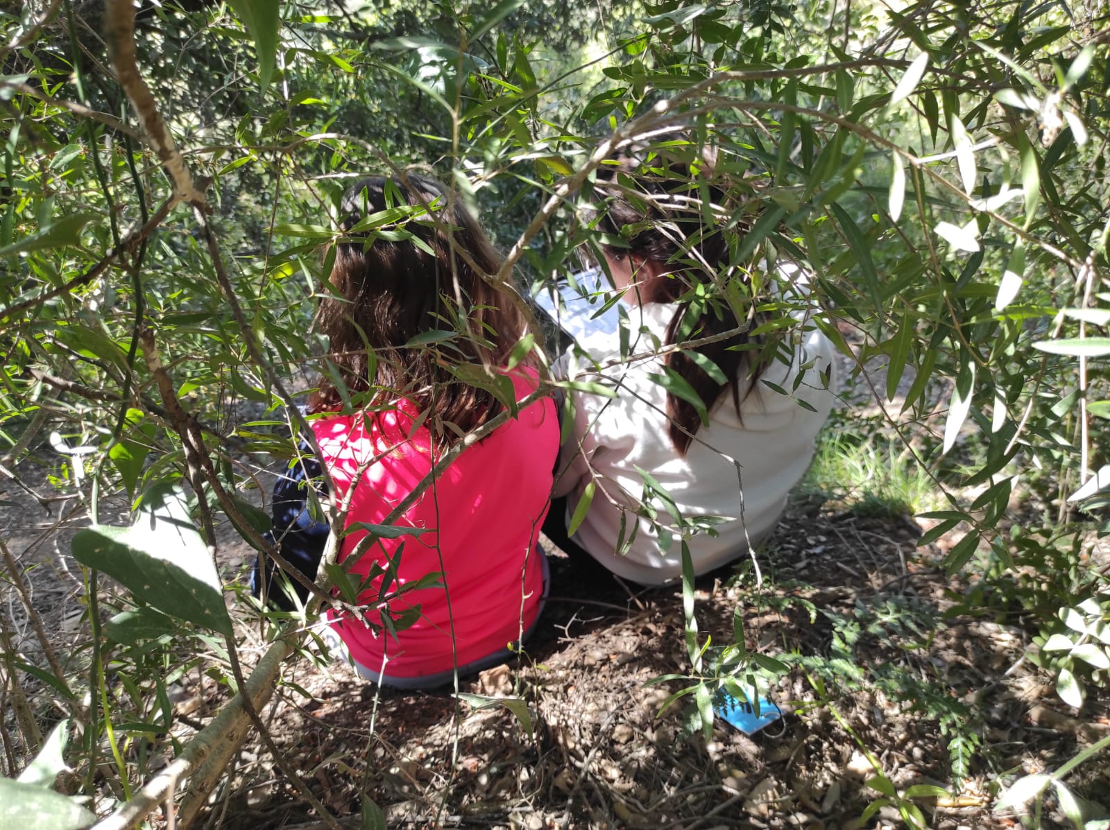 WhatsApp Image 2026-04-08 at 15.00.09 (3)