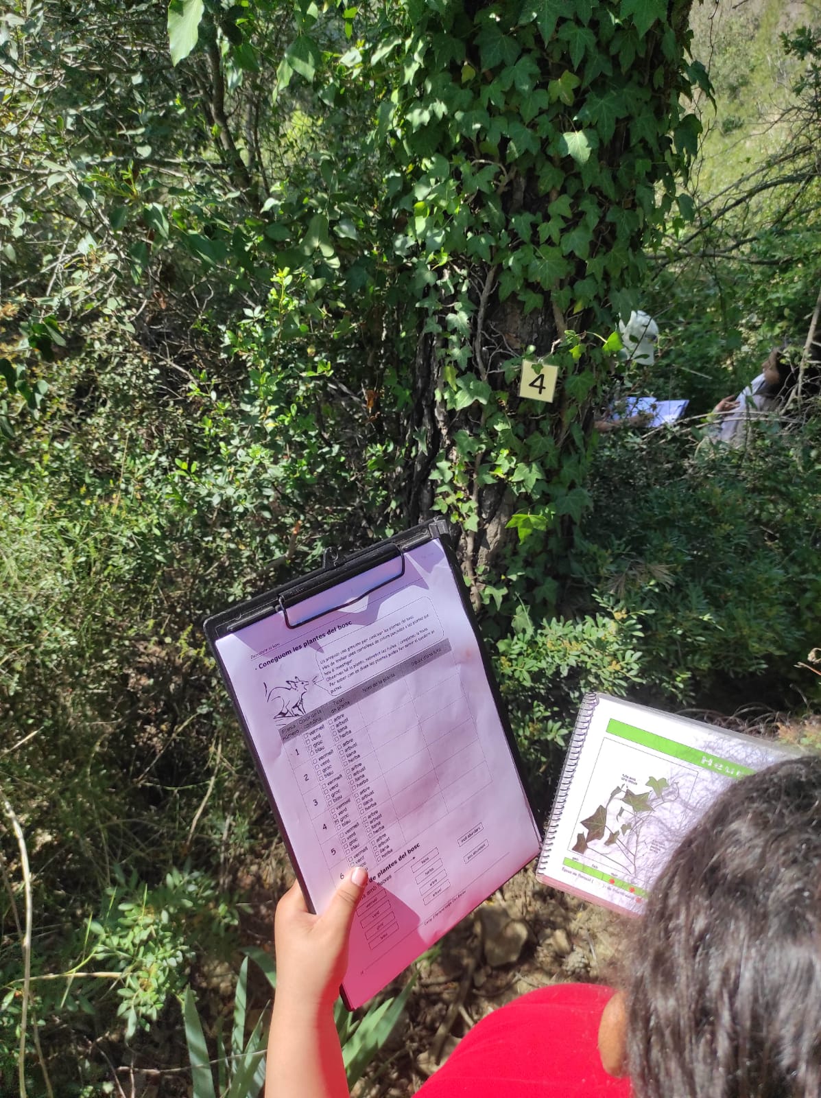 WhatsApp Image 2026-04-08 at 15.00.09 (4)