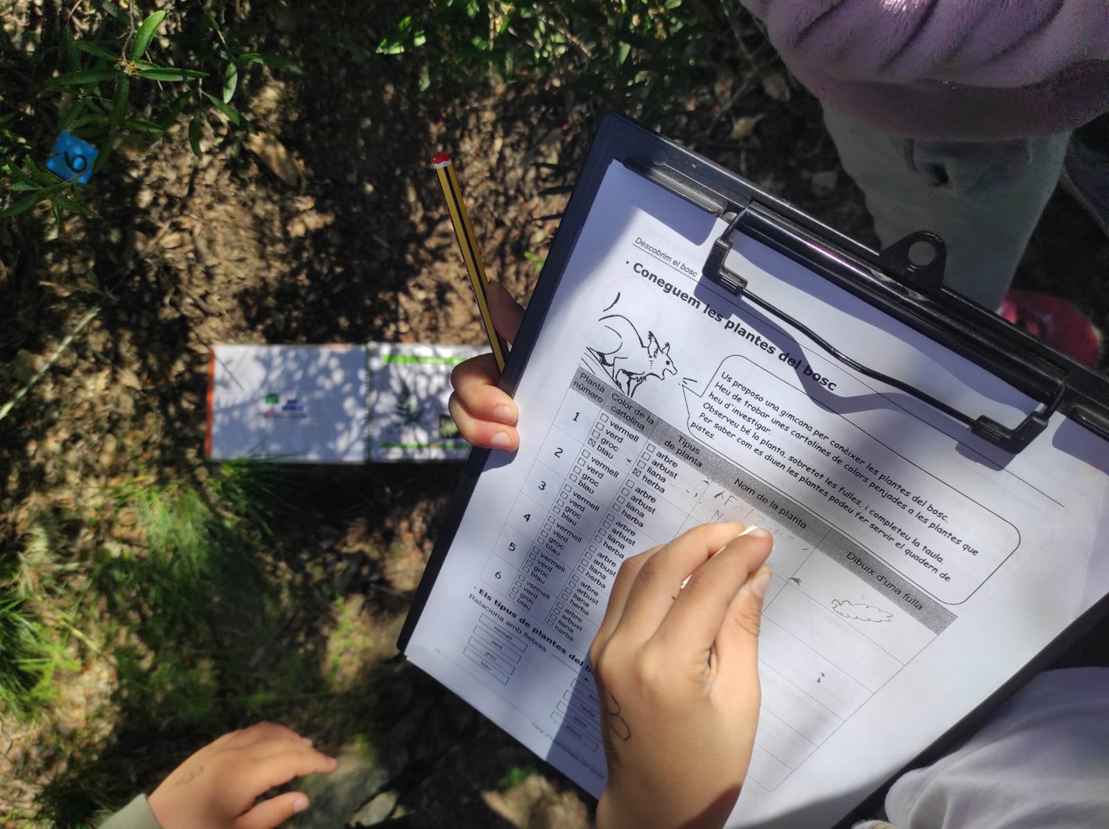 WhatsApp Image 2026-04-08 at 15.00.09 (5)