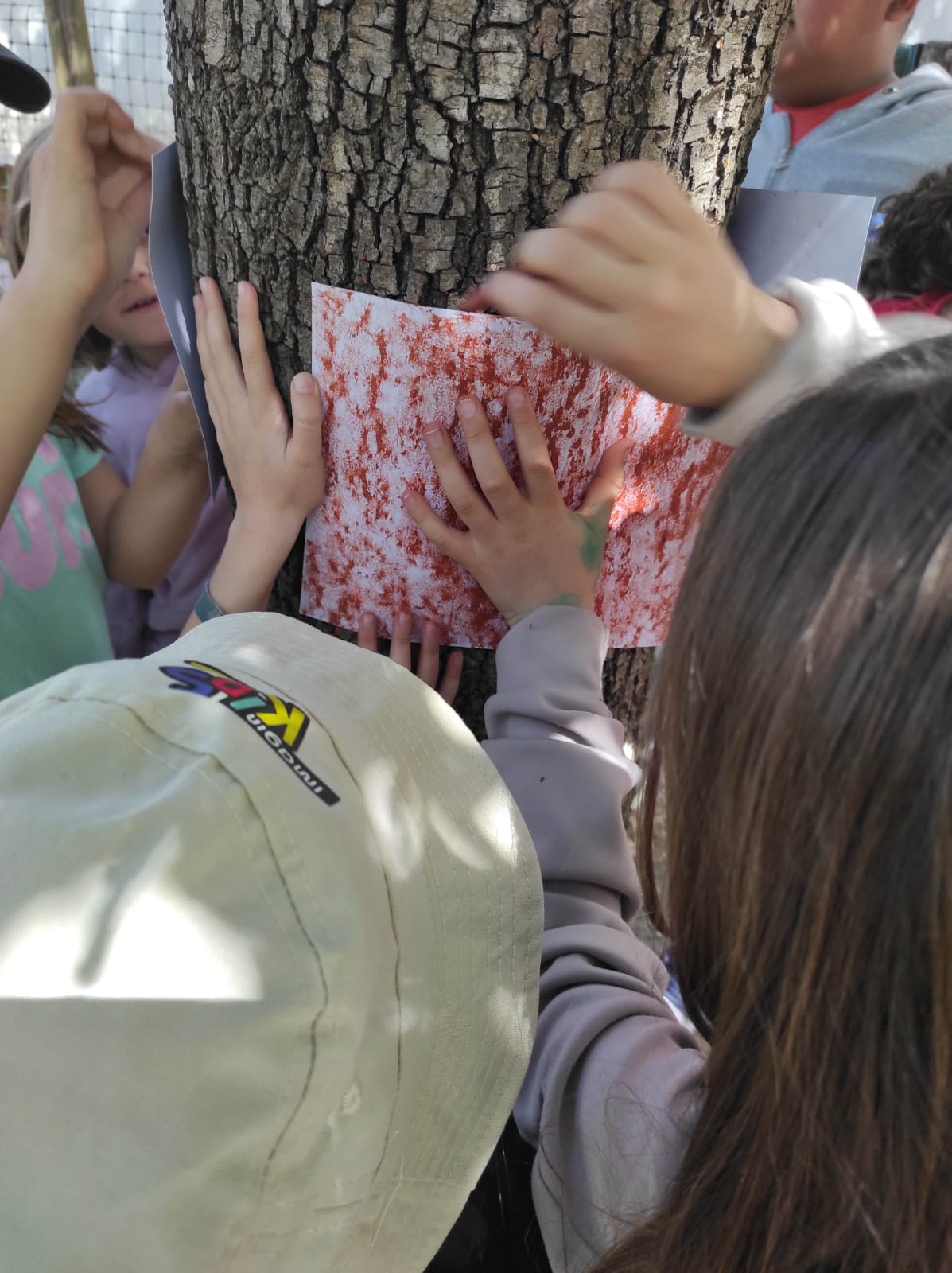 WhatsApp Image 2026-04-08 at 15.00.09 (6)