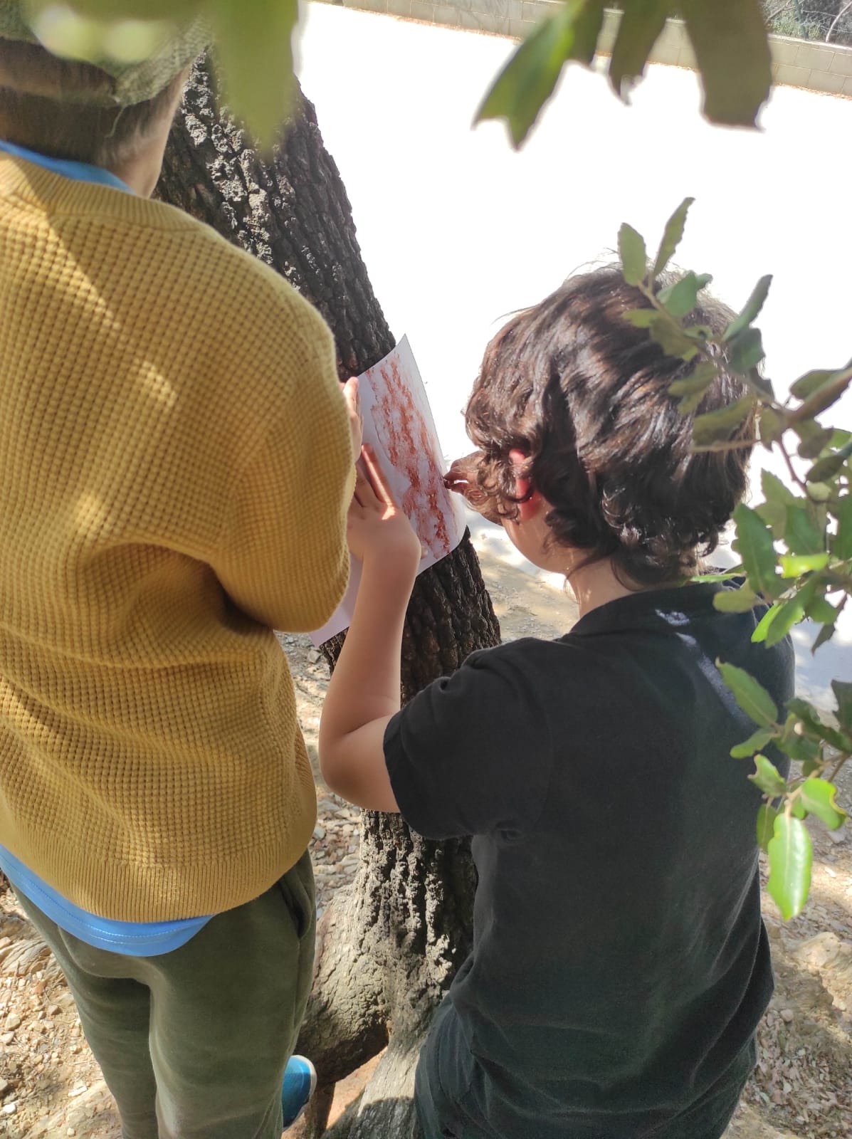 WhatsApp Image 2026-04-08 at 15.00.09 (7)