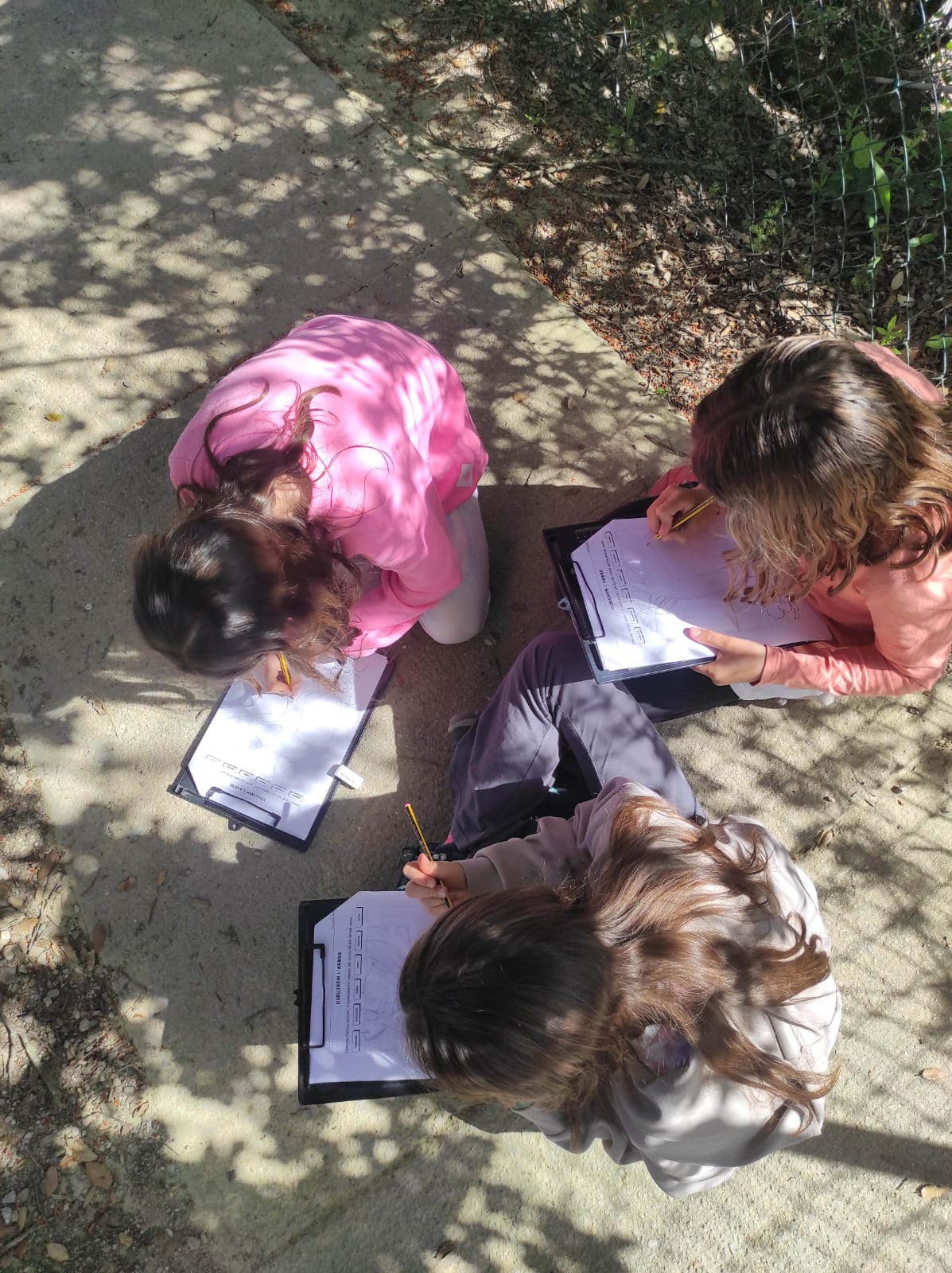 WhatsApp Image 2026-04-08 at 15.00.09 (8)