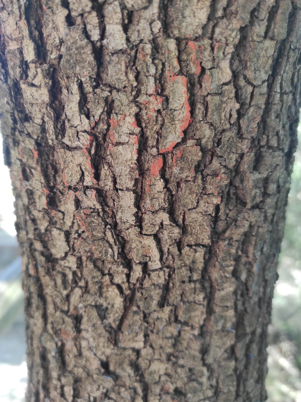 WhatsApp Image 2026-04-08 at 15.00.09