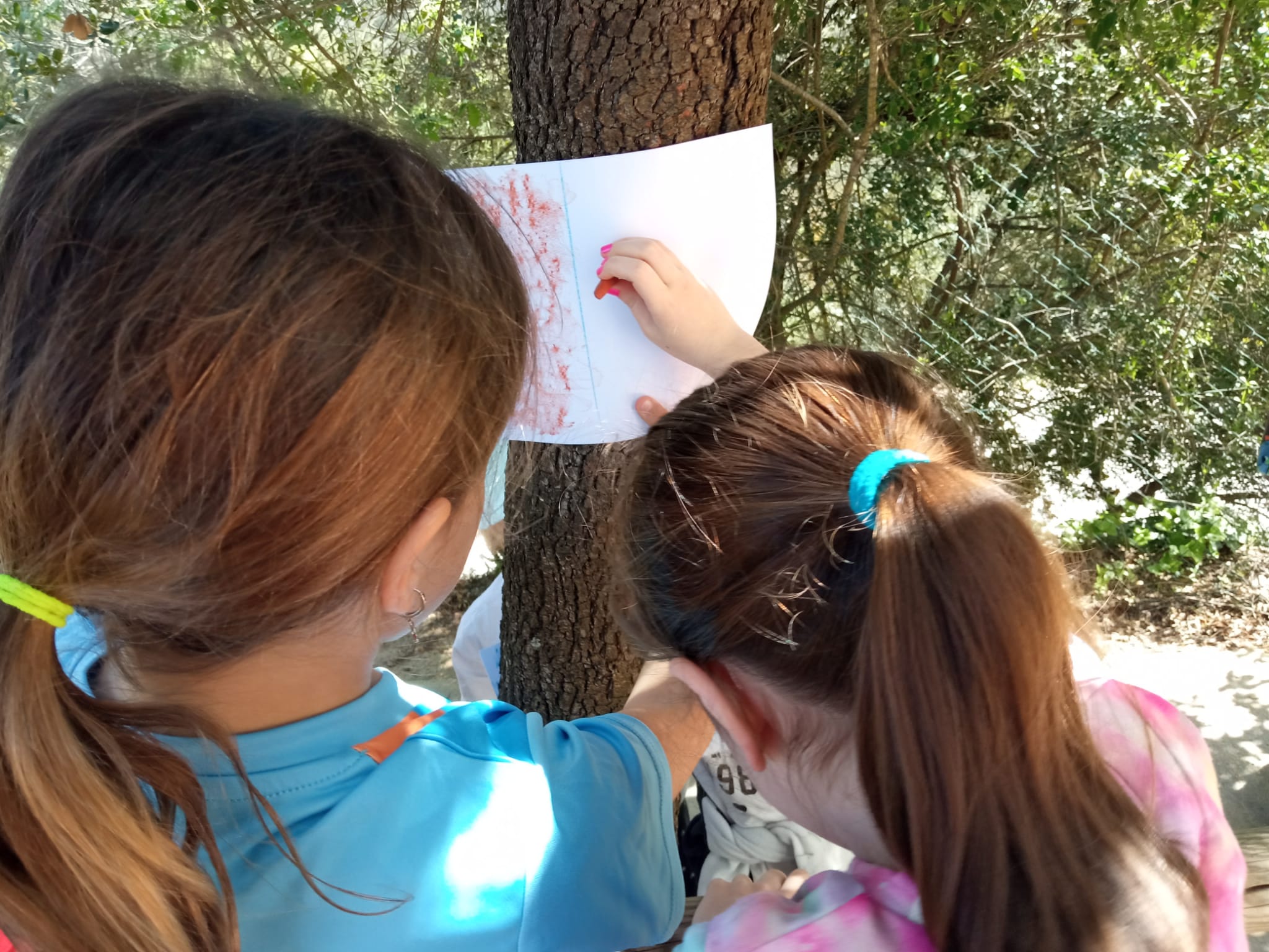 WhatsApp Image 2026-04-08 at 15.28.39 (1)